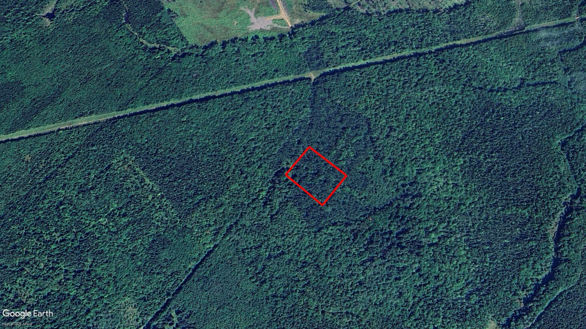 McLean Settlement Backroad, Champdoré