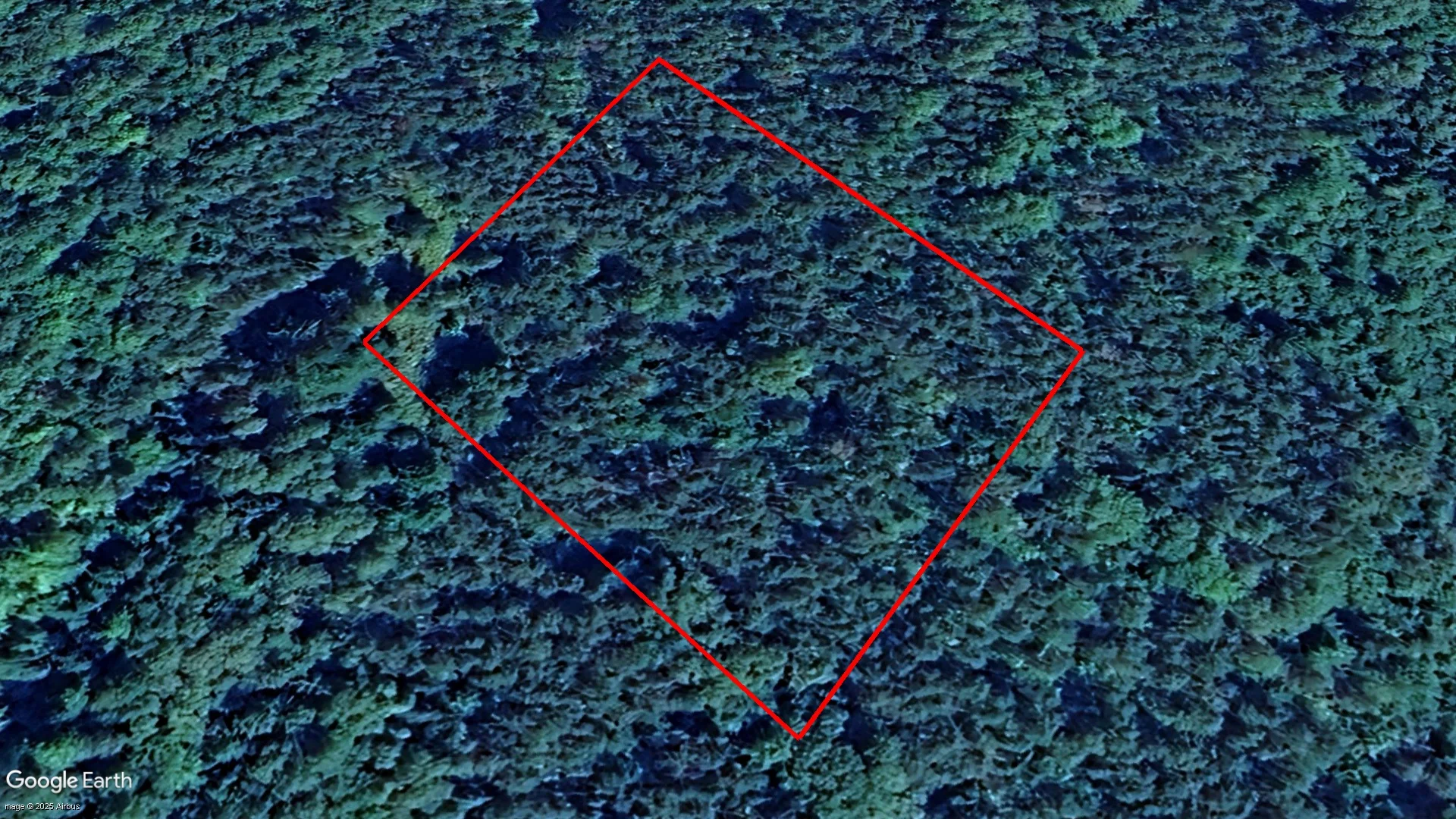 McLean Settlement Backroad, Champdoré