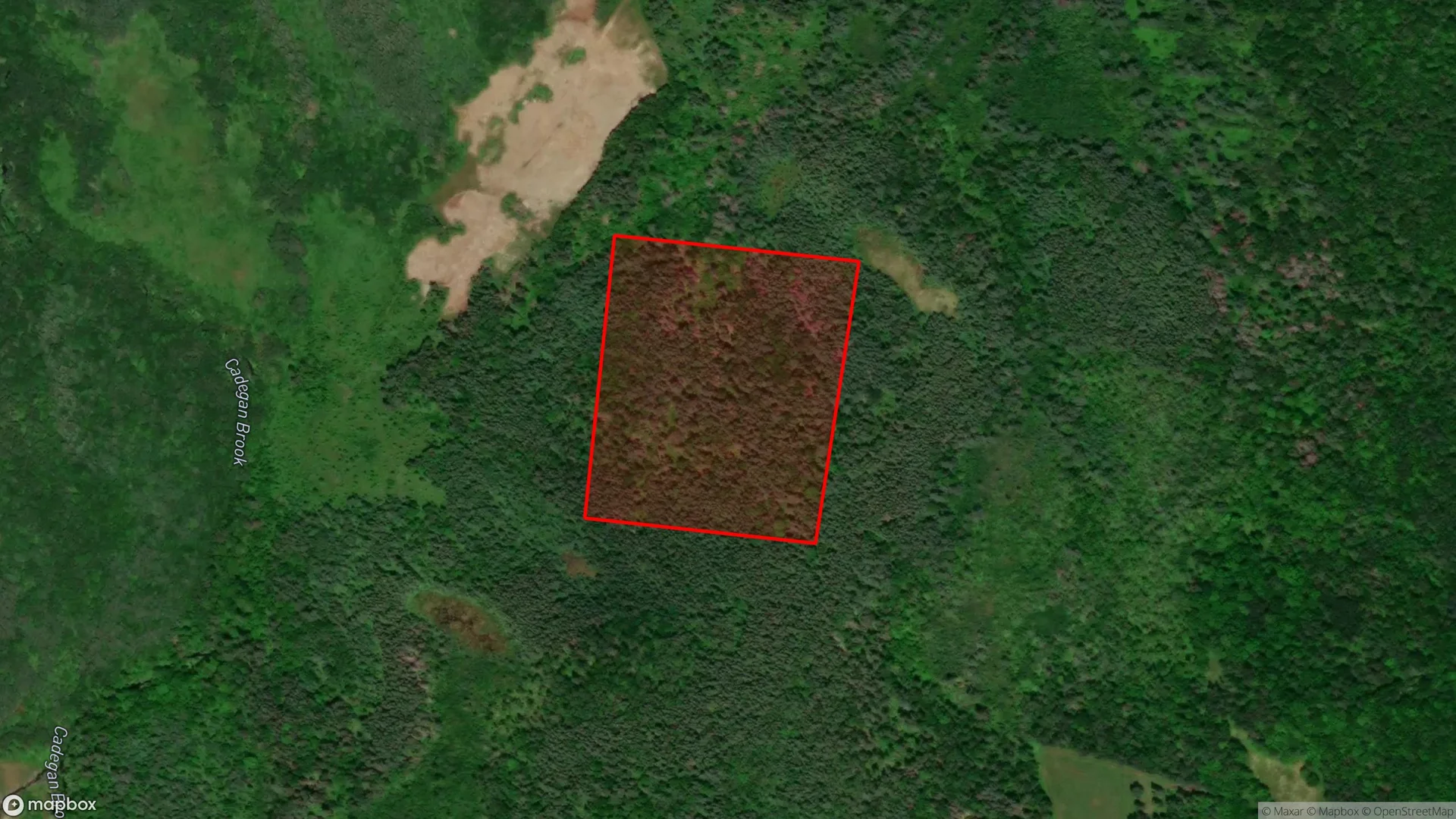 Tax sale property at , Cape Breton - Photo 3