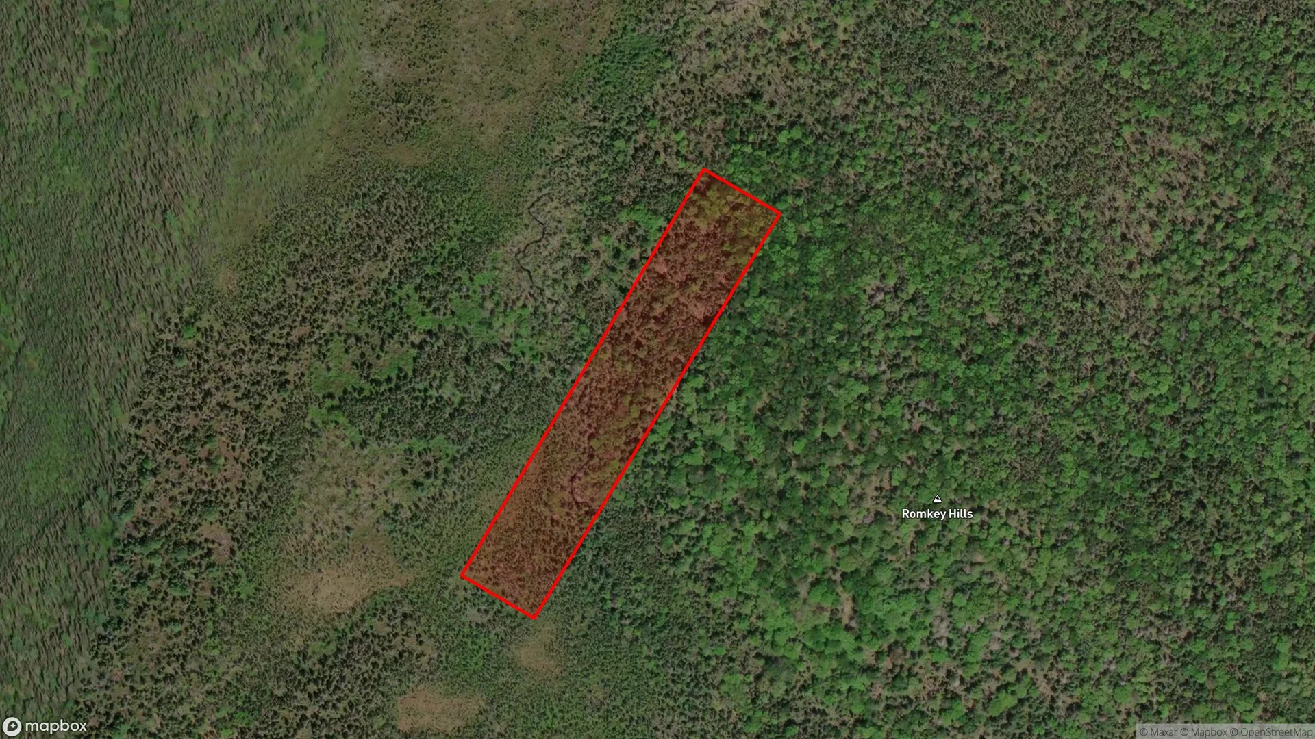 Tax sale property at , Lunenburg - Photo 3