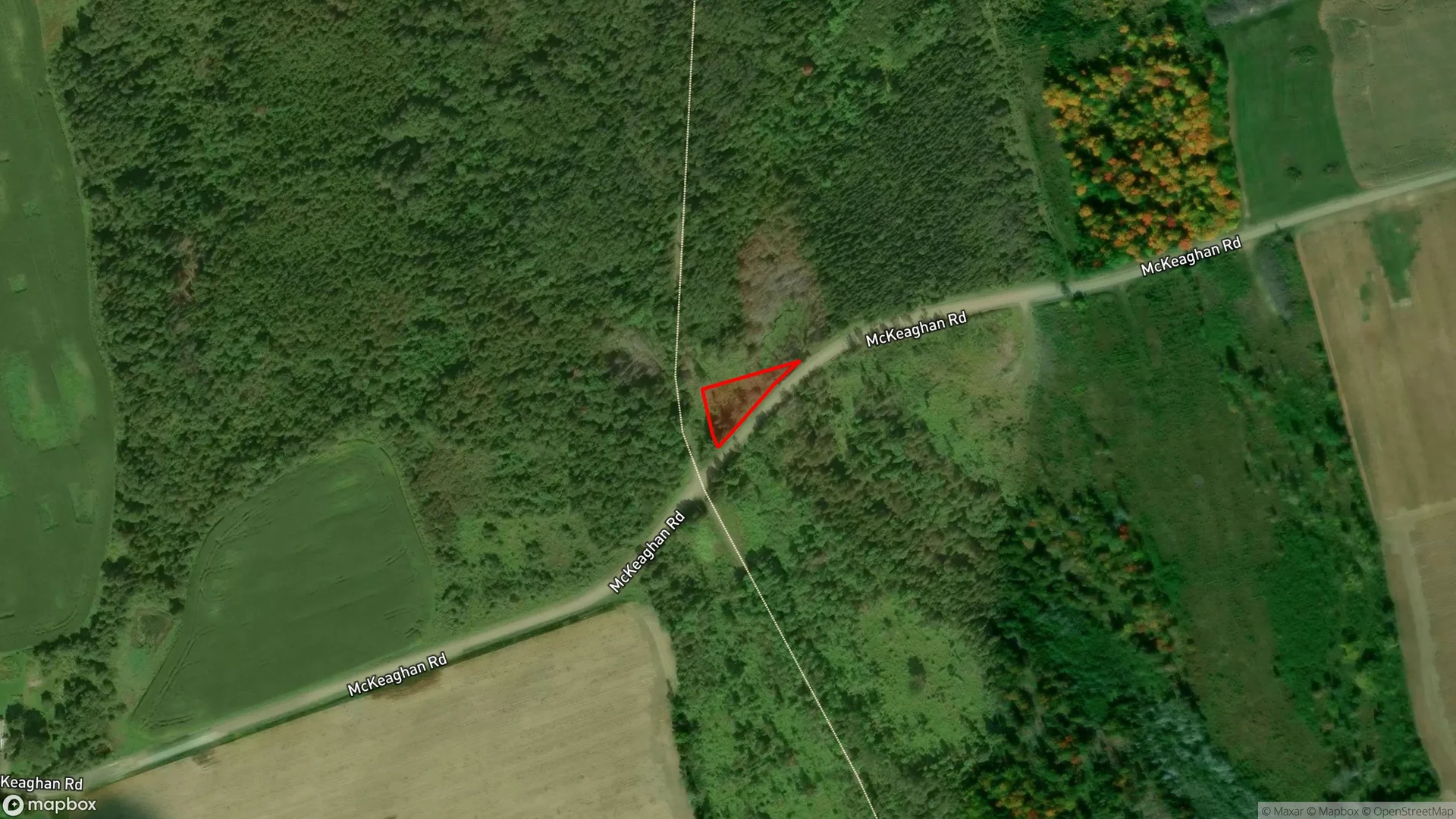 Tax sale property at , Carleton - Photo 3