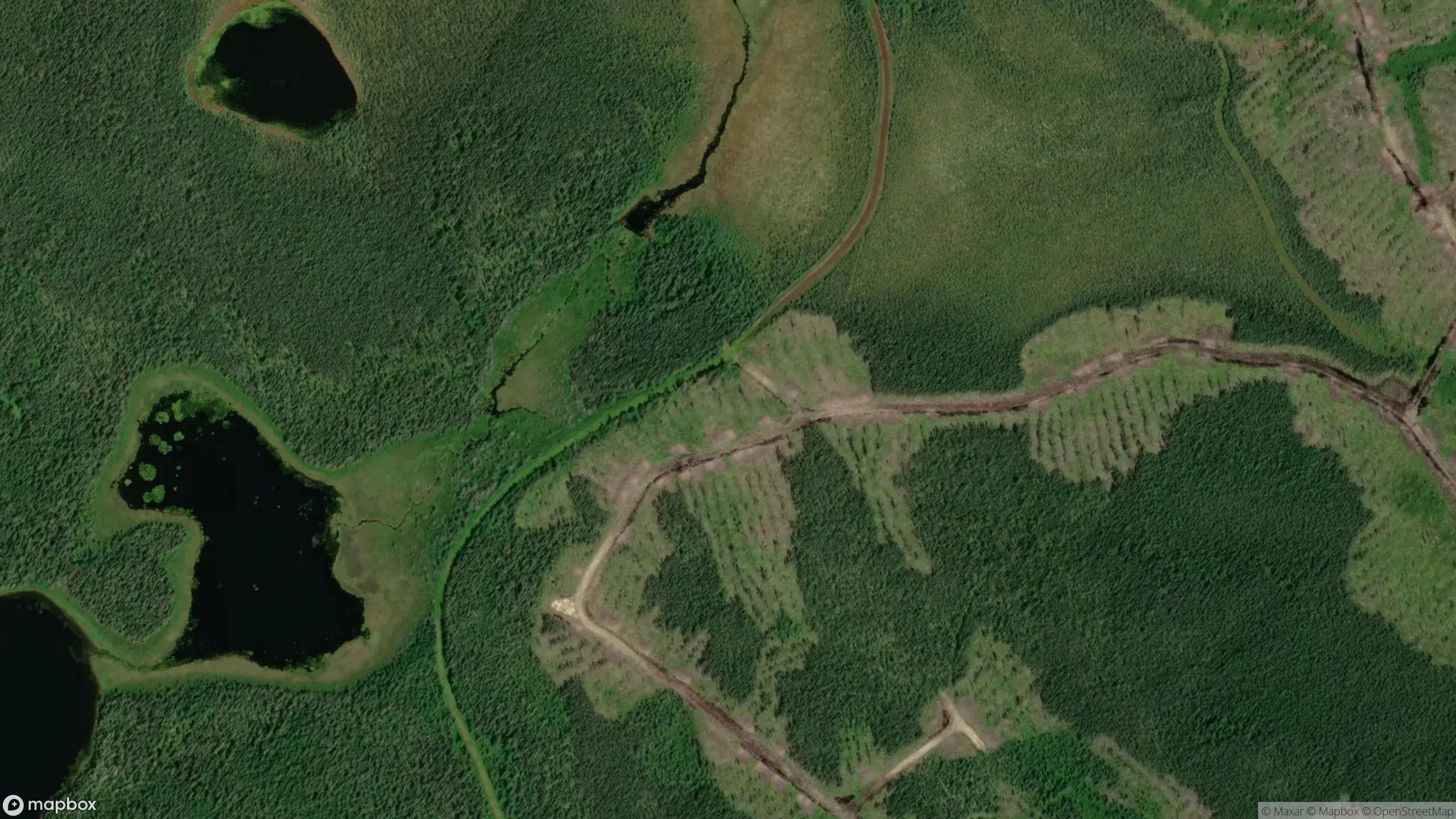 Tax sale property at , United Townships Of Dysart Dudley Harcourt Guilford Harburn Bruton Havelock Eyre And Clyde - Photo 3
