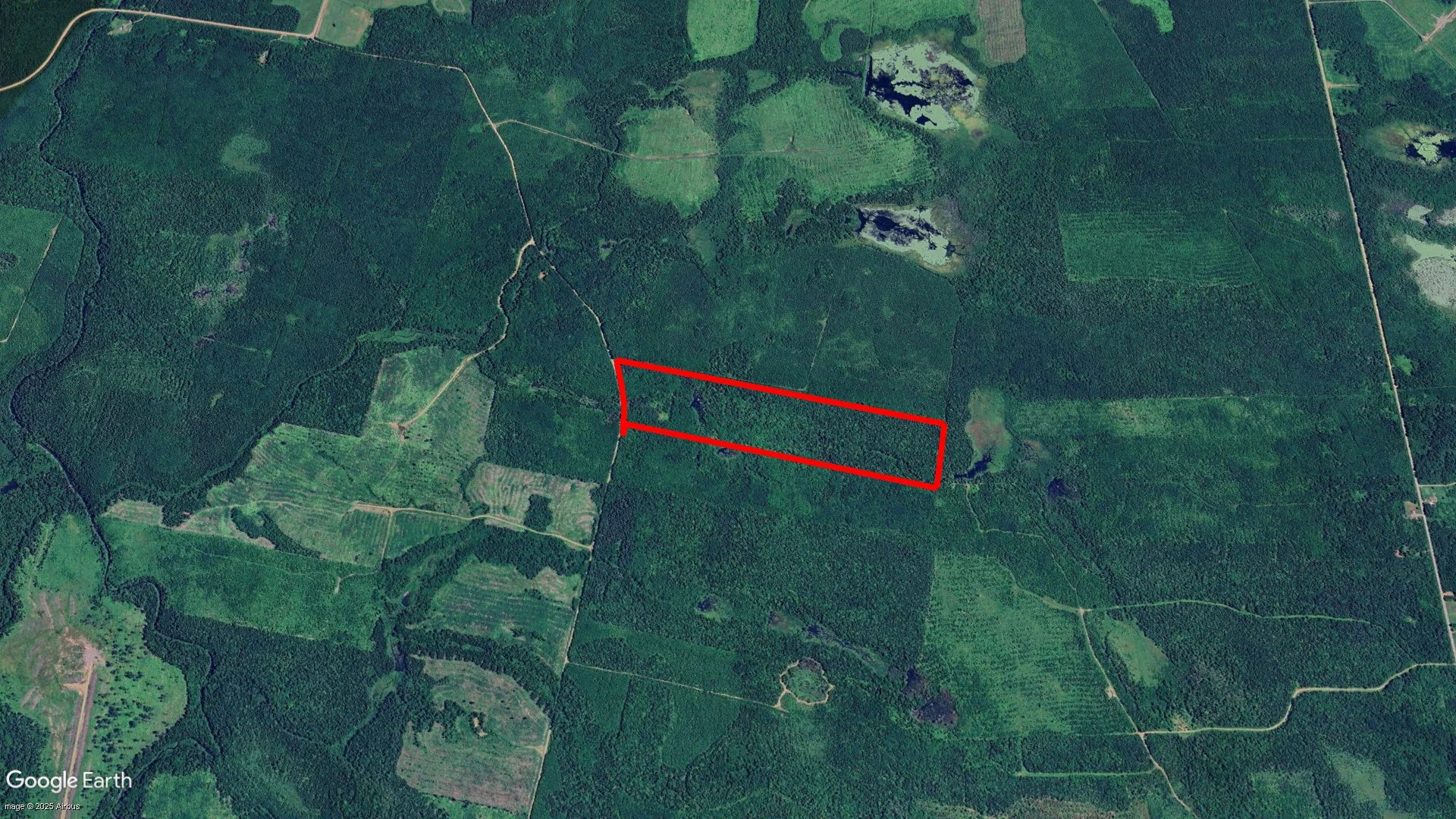 Silvertown Road, Five Rivers