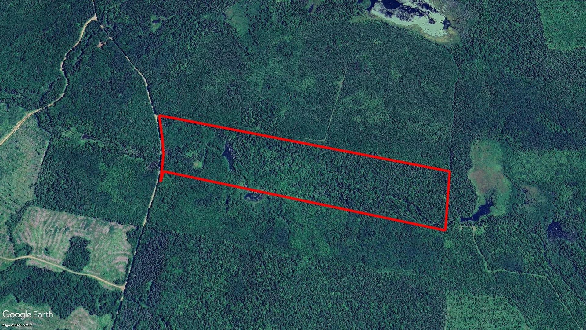 Silvertown Road, Five Rivers