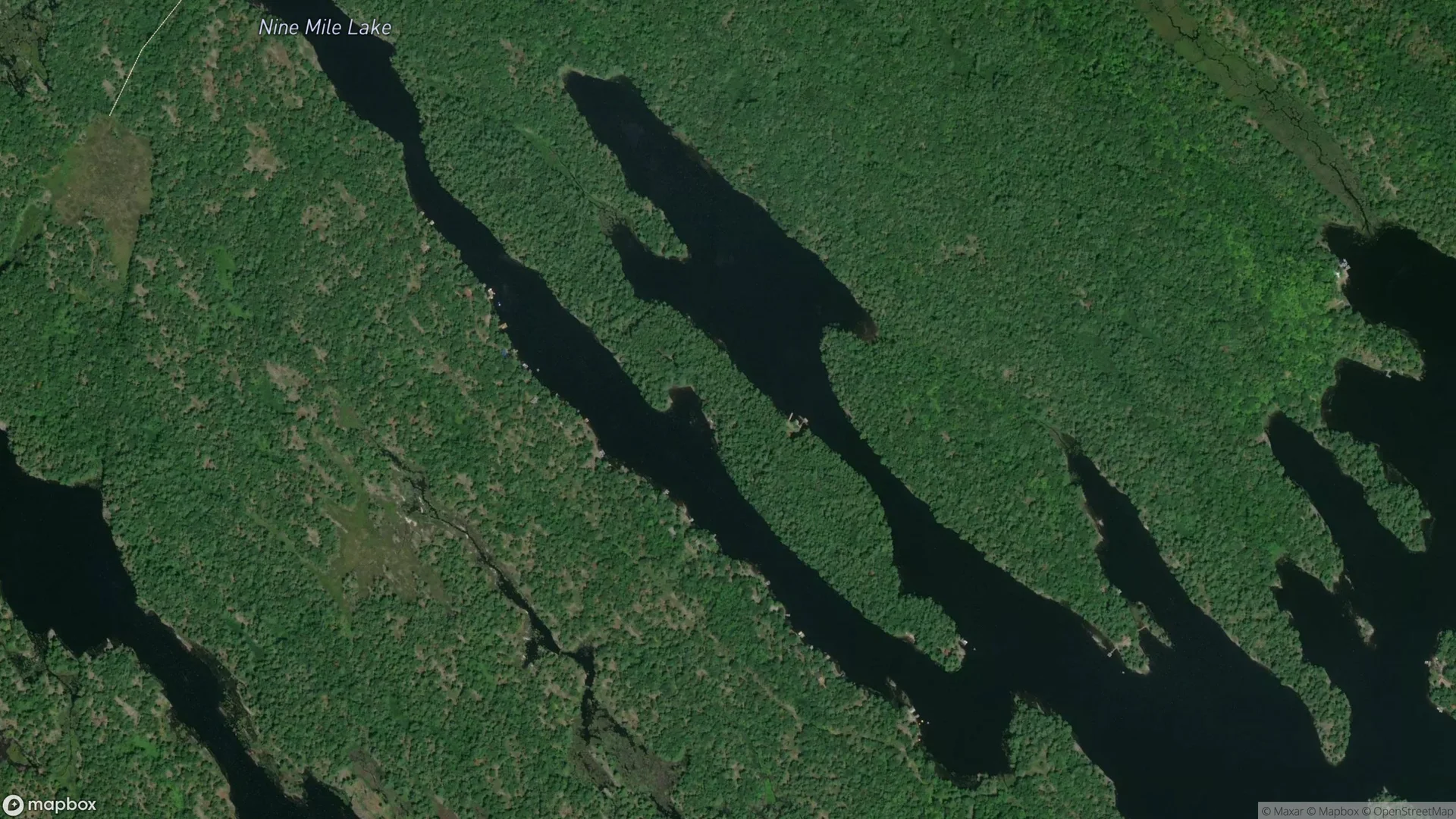  - Tax sale property in Muskoka Lakes