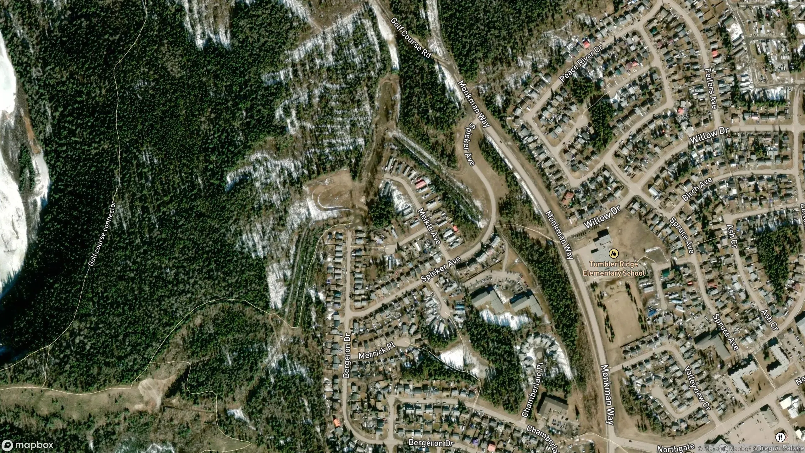 Tax Sale Property in Tumbler Ridge, British Columbia