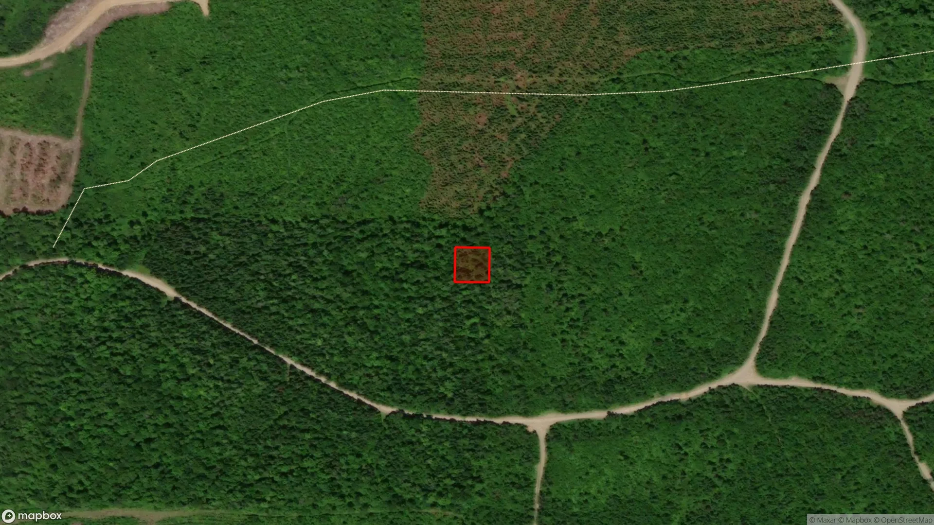 Tax sale property at , Restigouche - Photo 3