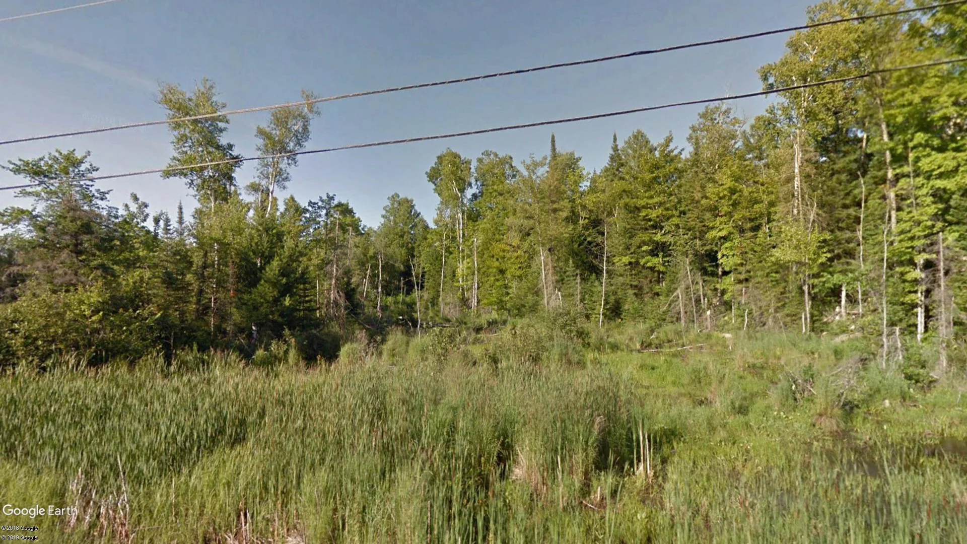 Tax sale property at 9178 Old Hastings Rd, Tudor and Cashel - Photo 3