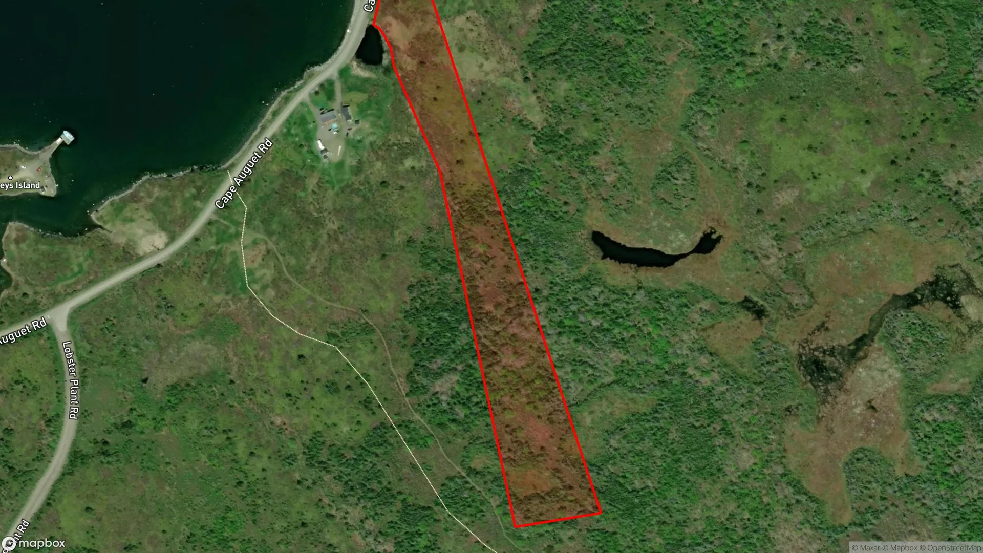 Tax sale property at Cape Auguet Road, Arichat, NS  B0E 1A0, Richmond - Photo 2