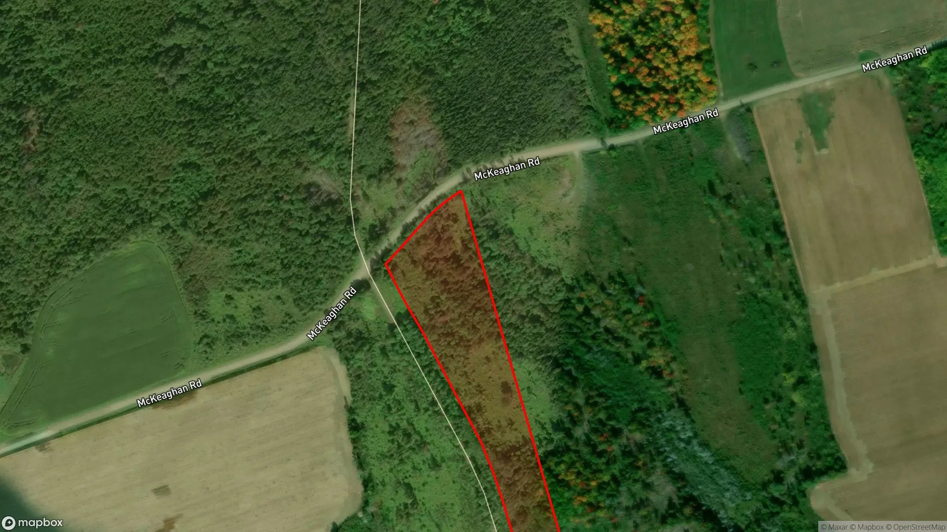 Tax sale property at , Carleton - Photo 3