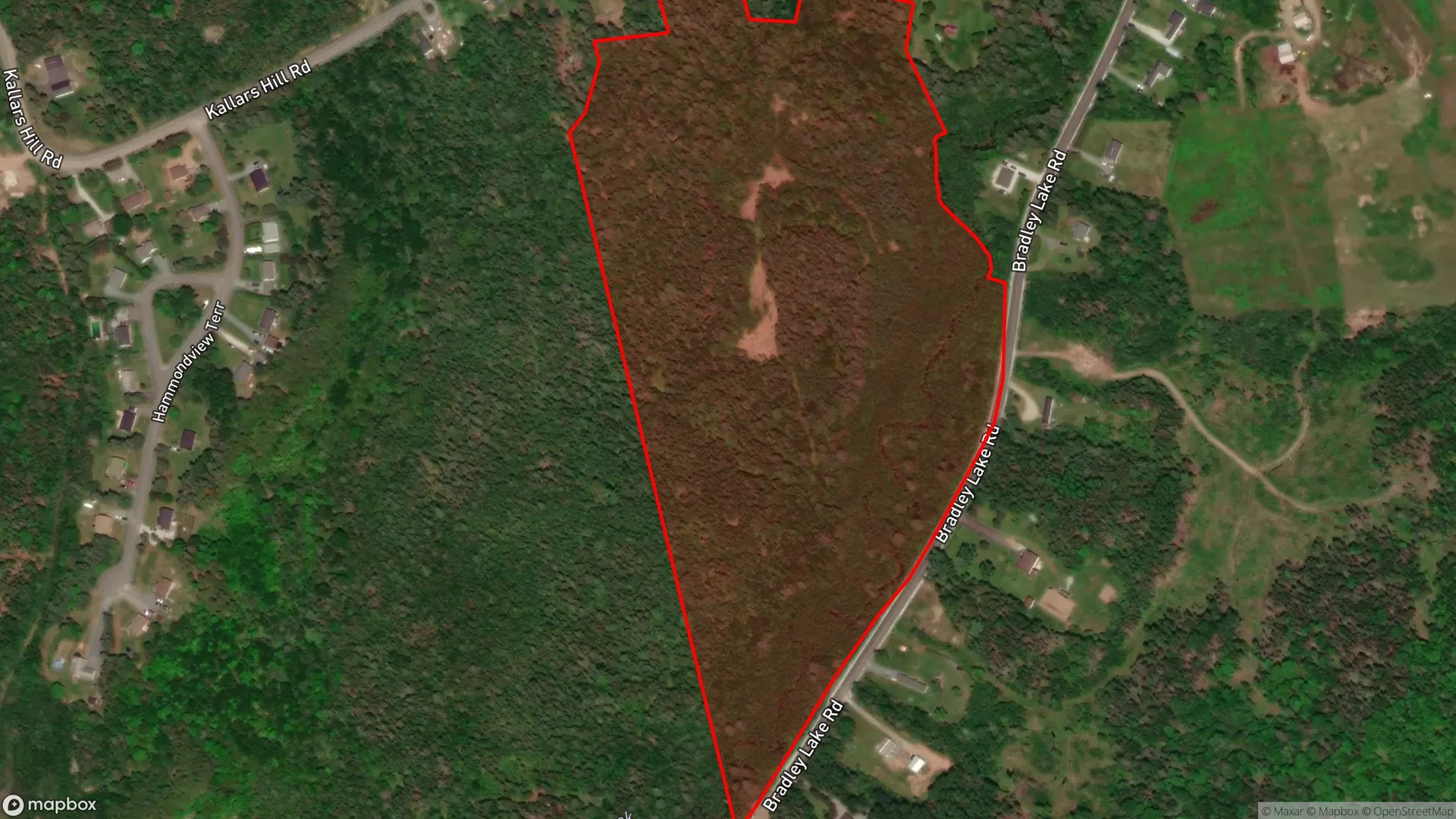 Tax sale property at , Saint John - Photo 3