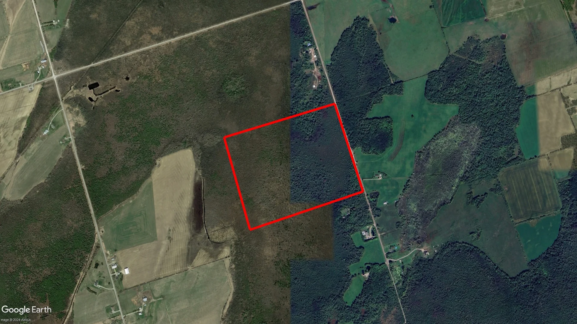  - Tax sale property in Kawartha Lakes