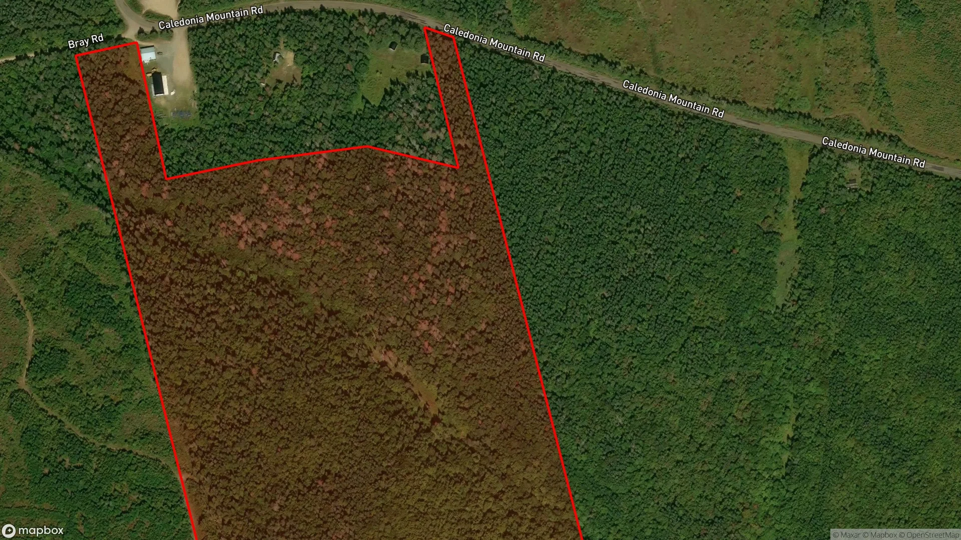 Tax sale property at Caledonia Road, Moncton, NB  E1H 2E7, Moncton - Photo 3