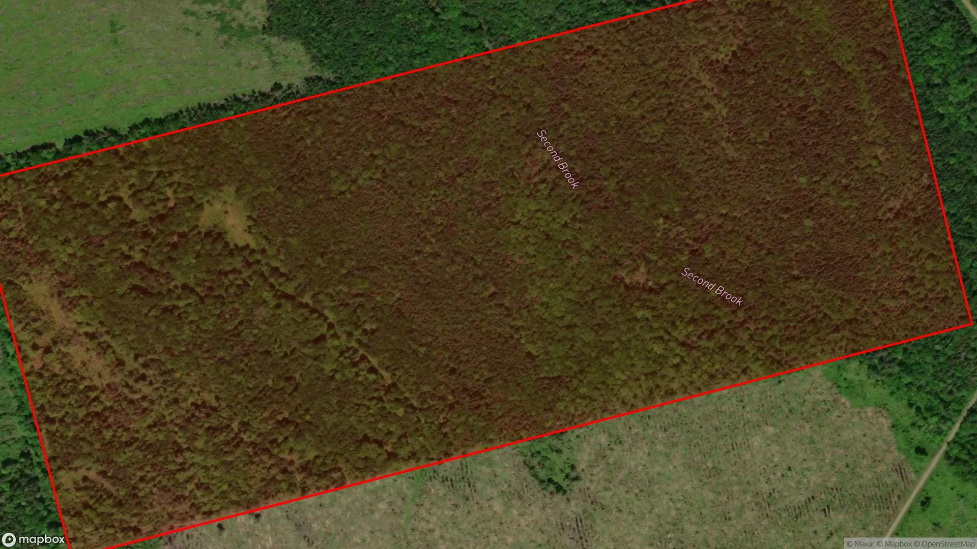 Tax sale property at , Carleton - Photo 3