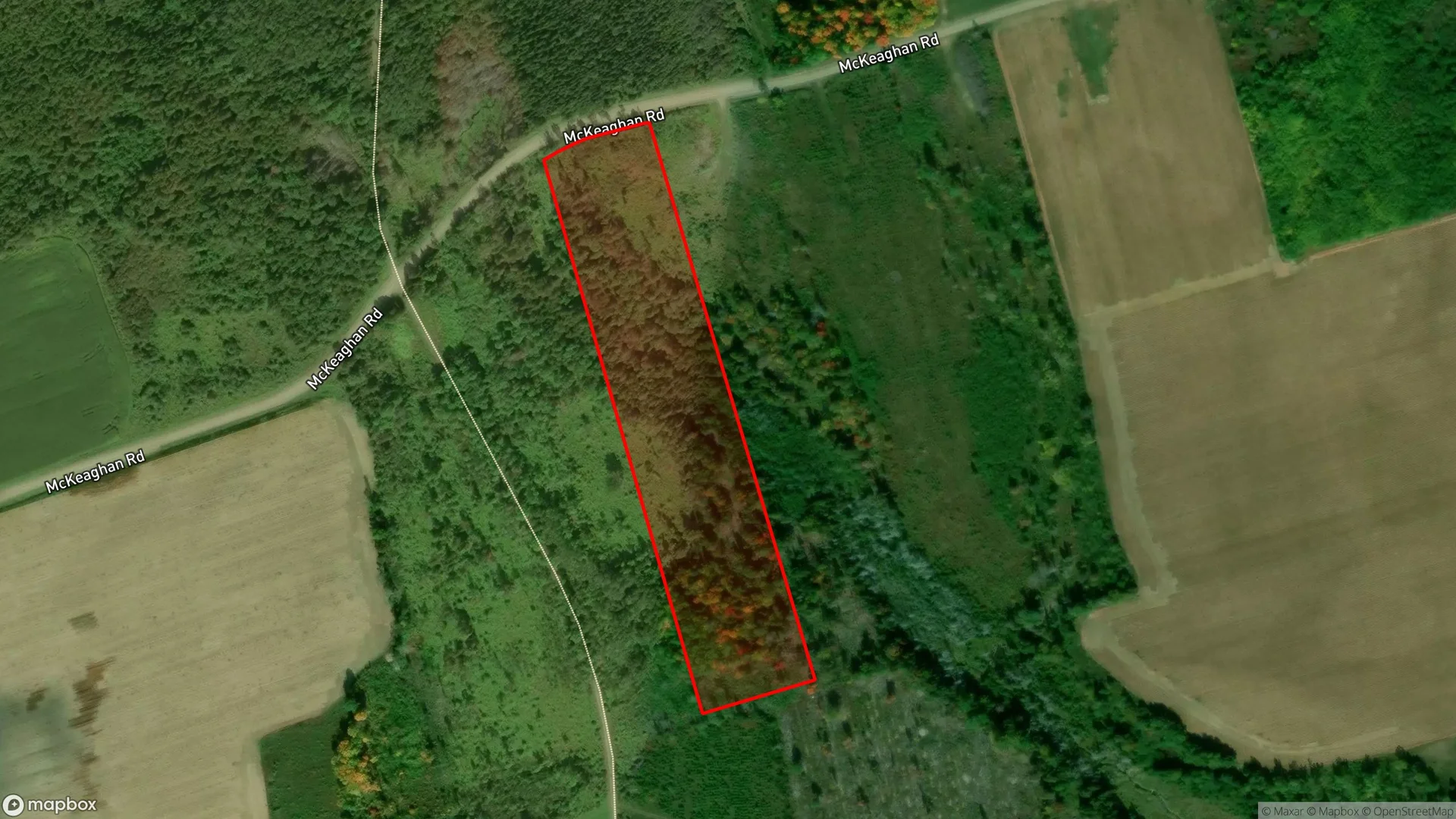 Tax sale property at , Carleton - Photo 3