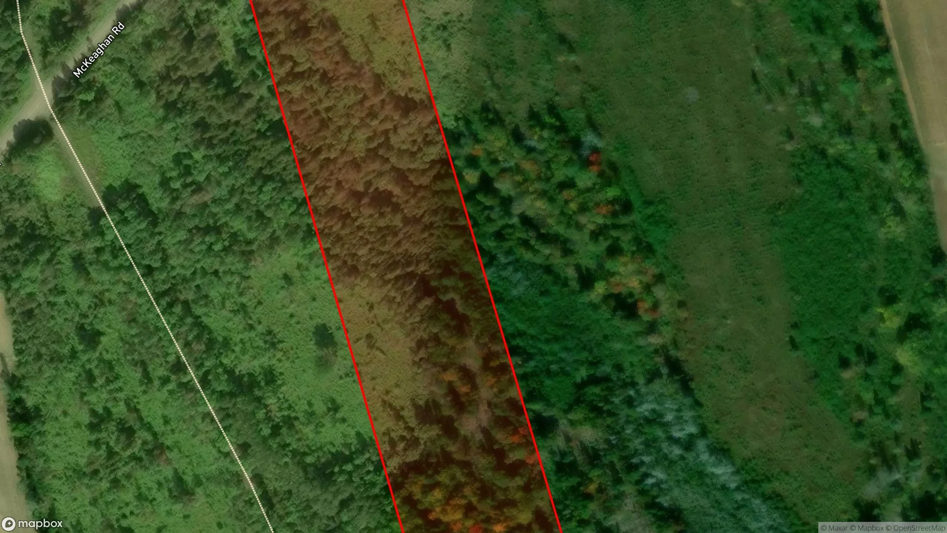 Tax sale property at , Carleton - Photo 2