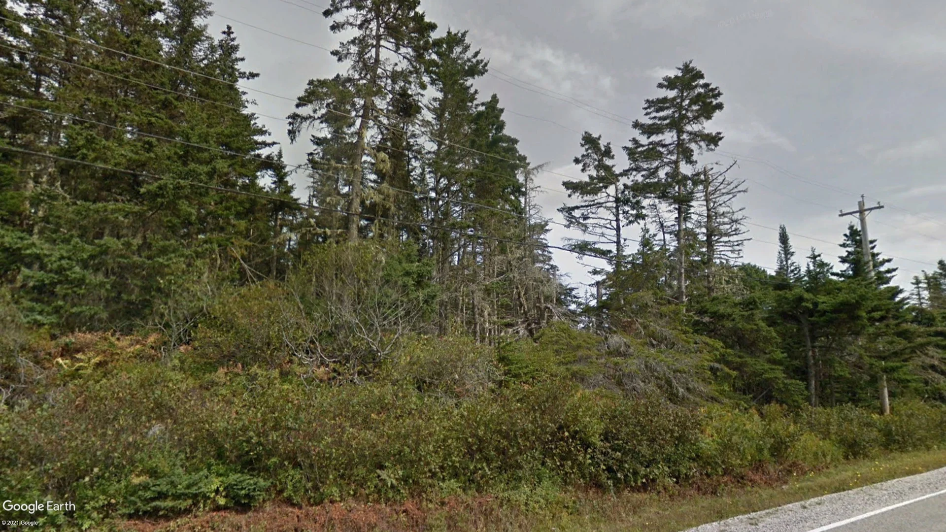 Tax sale property at LOT 2 No 3 Highway, Bear Point, Barrington - Photo 4