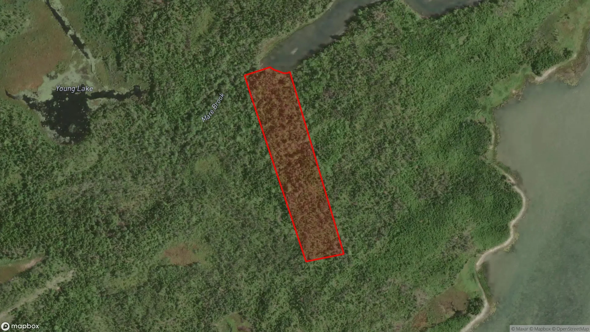 Tax sale property at , Halifax - Photo 3