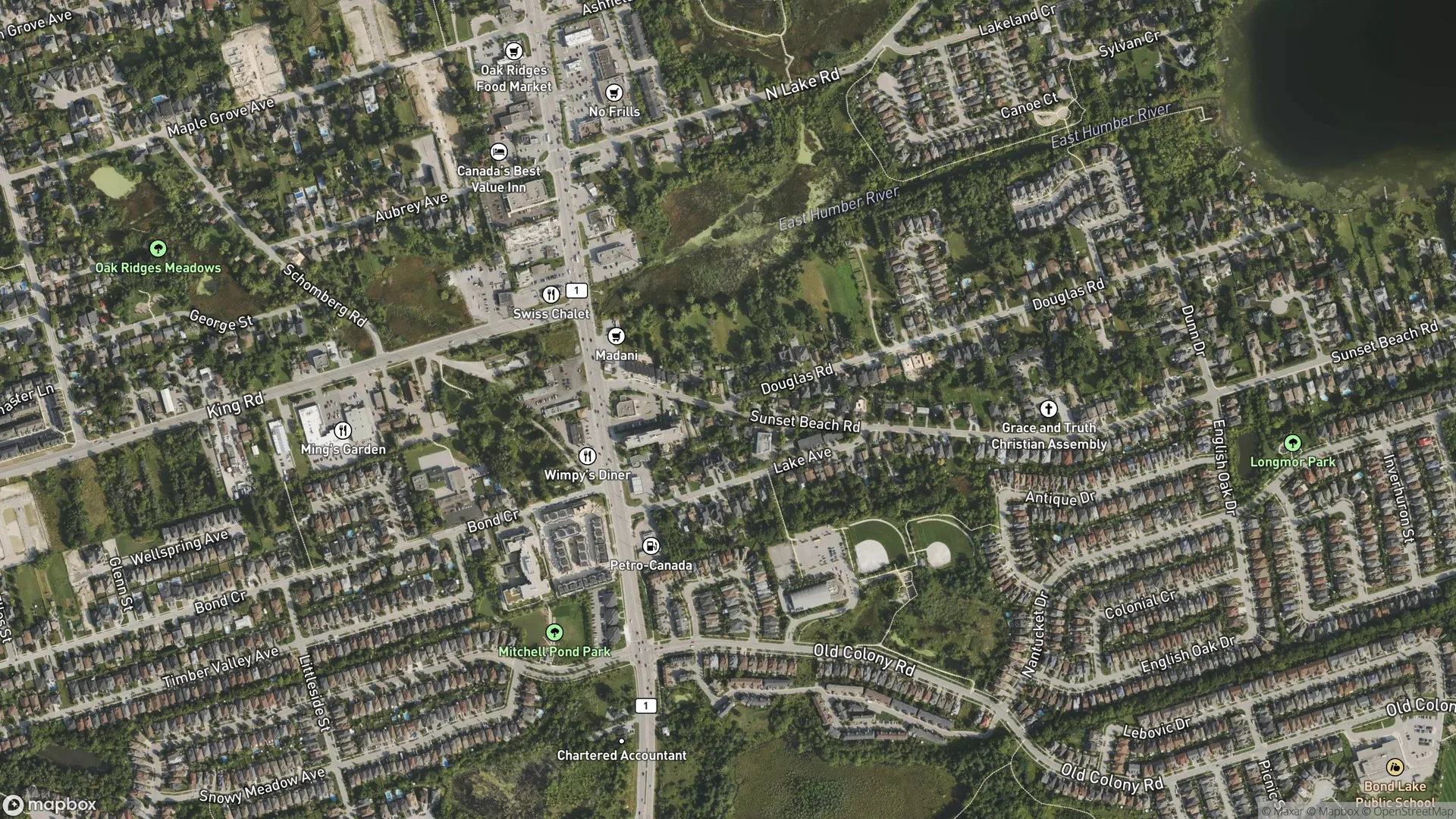 Tax sale property at 0 Douglas Rd, Richmond Hill, Richmond Hill - Photo 3