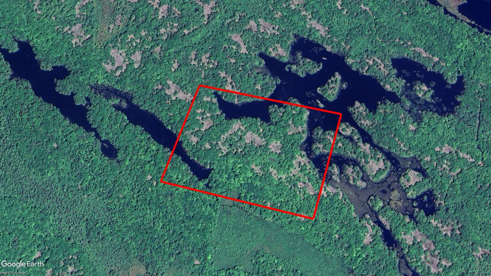  - Tax sale property in Muskoka Lakes