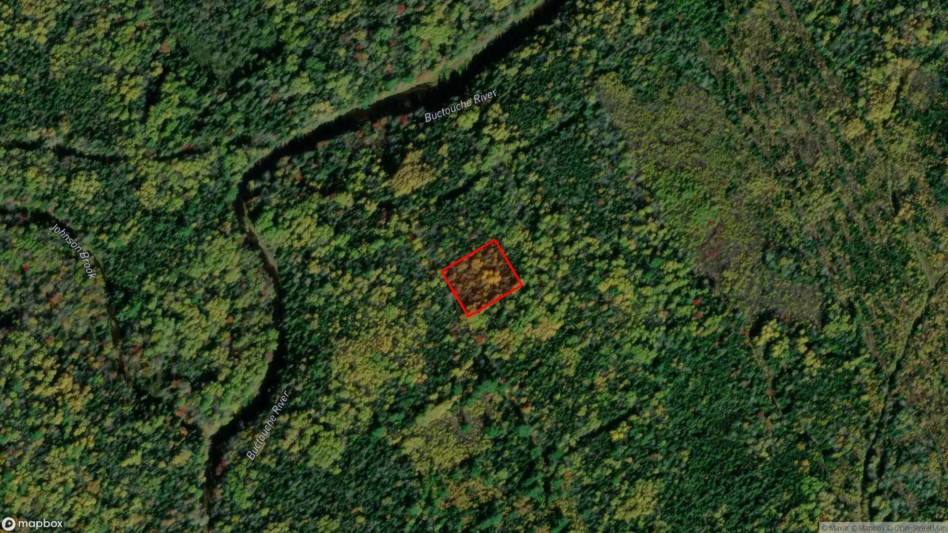 Tax sale property at , Moncton - Photo 3