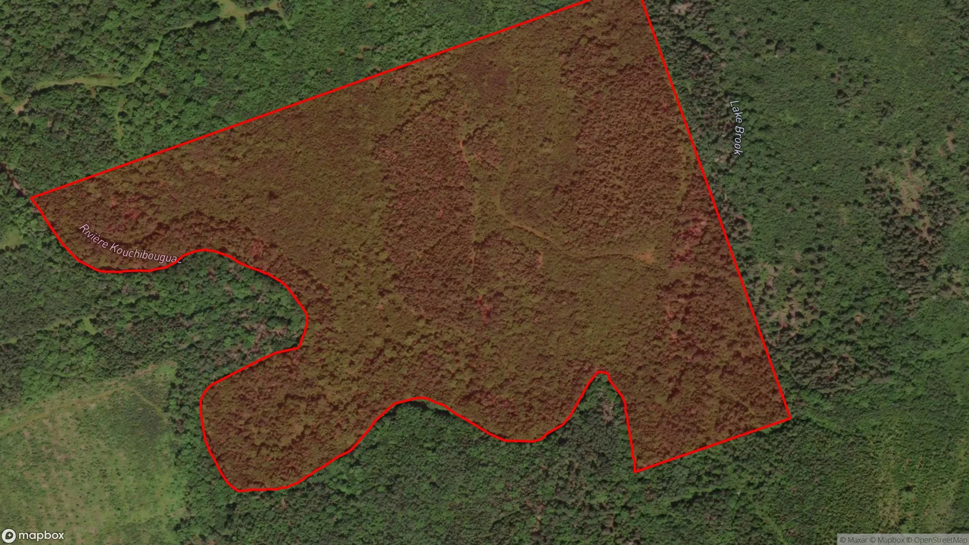 Tax sale property at , Albert Westmorland - Photo 3