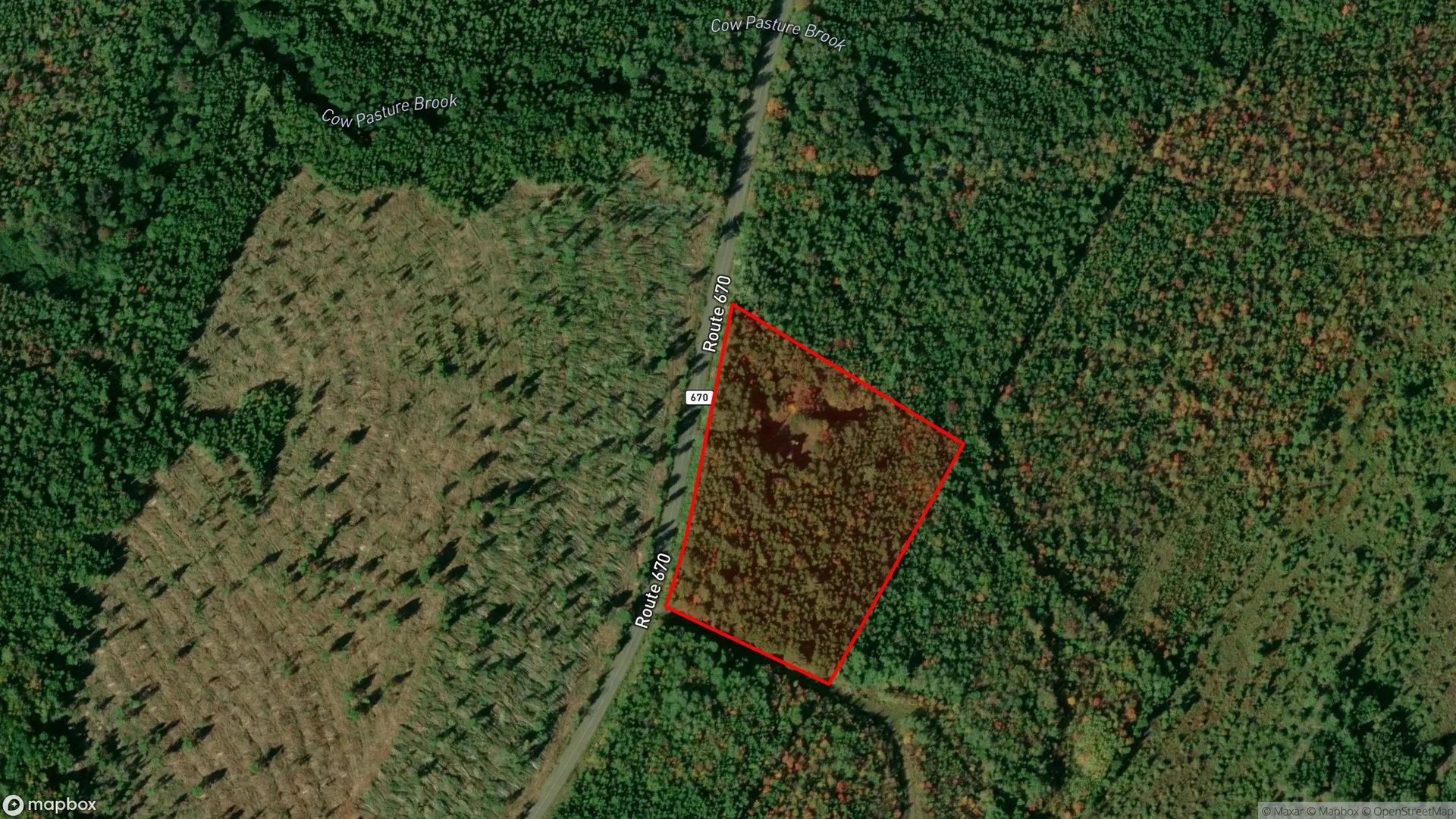 Tax sale property at , Fredericton - Photo 3