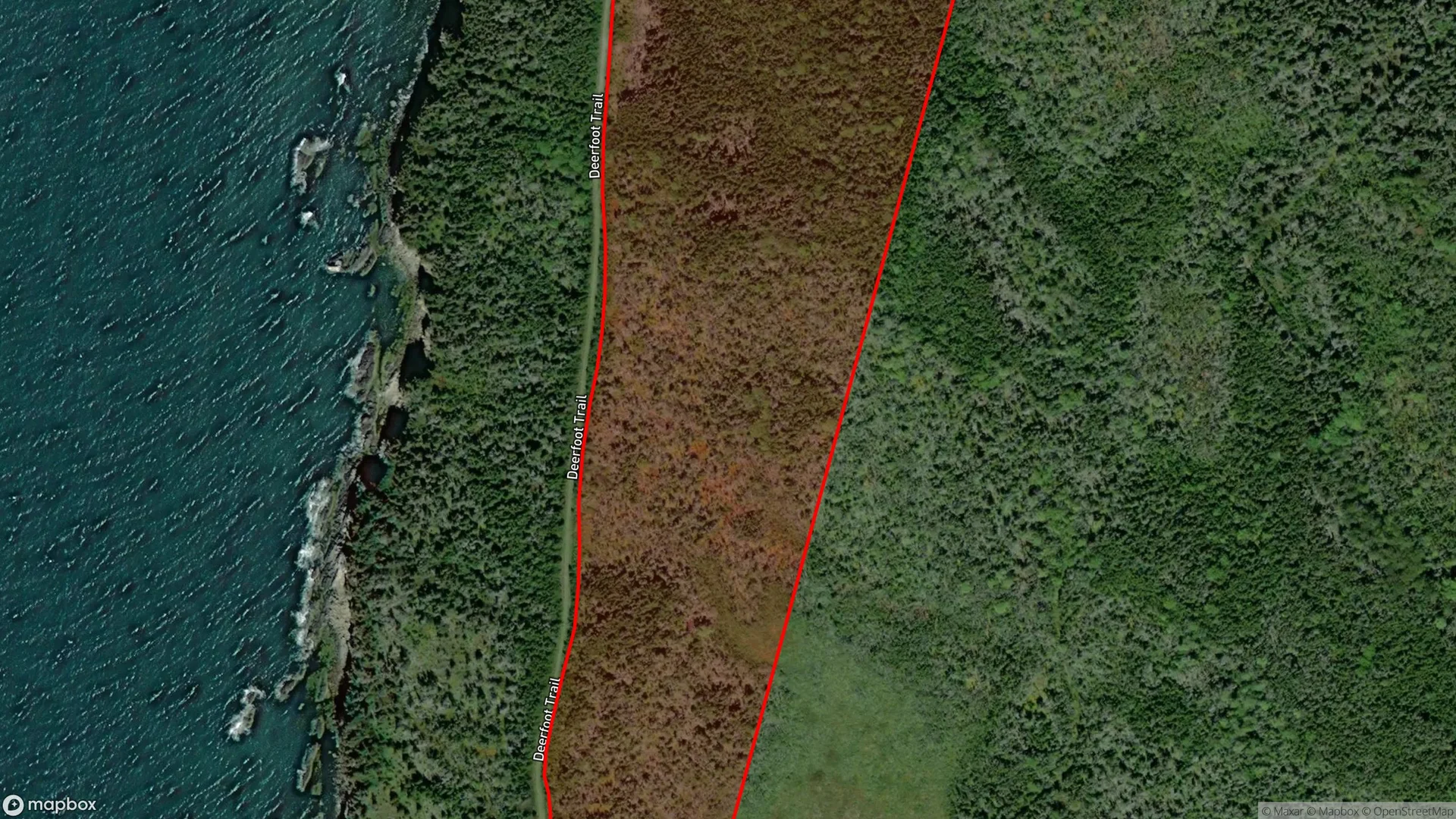 Tax sale property at , Clare - Photo 3