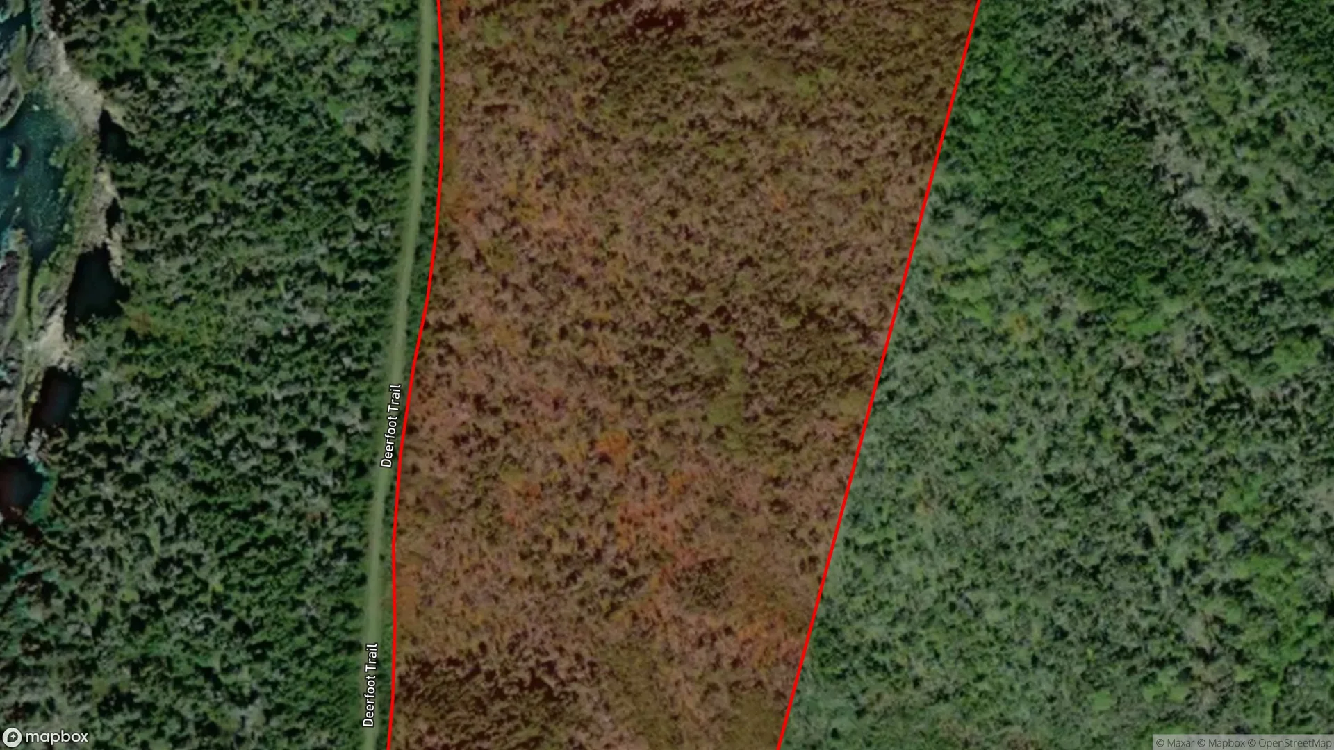 Tax sale property at , Clare - Photo 2