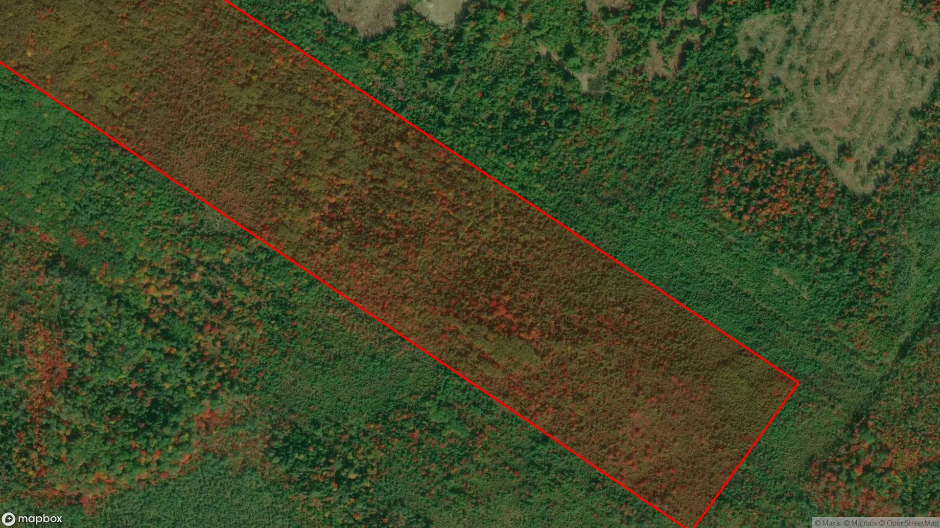 Tax sale property at , Moncton - Photo 3