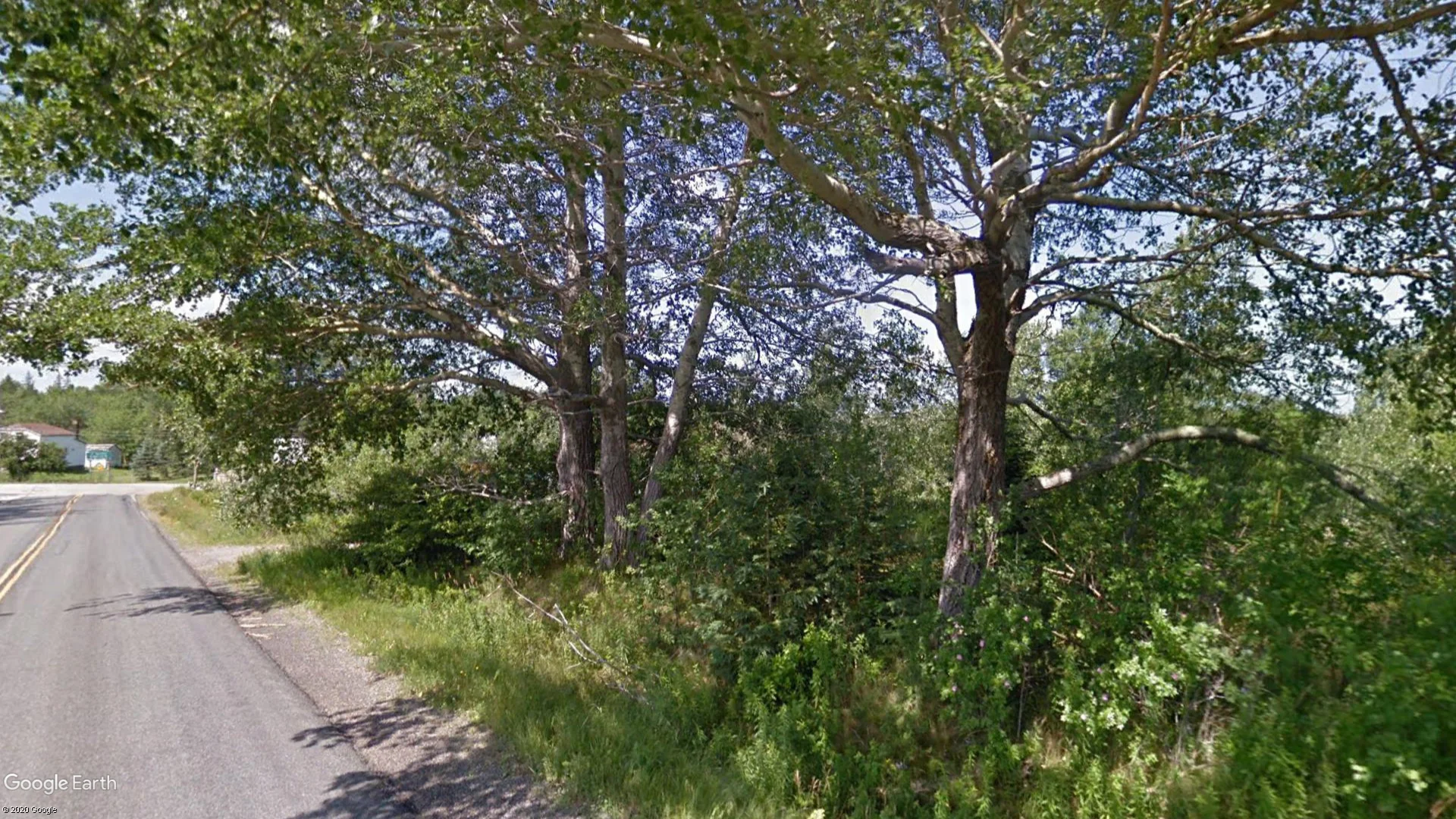 Tax sale property at 12 MACKIES LANE LAND, GARDINER MINES, Cape Breton - Photo 8