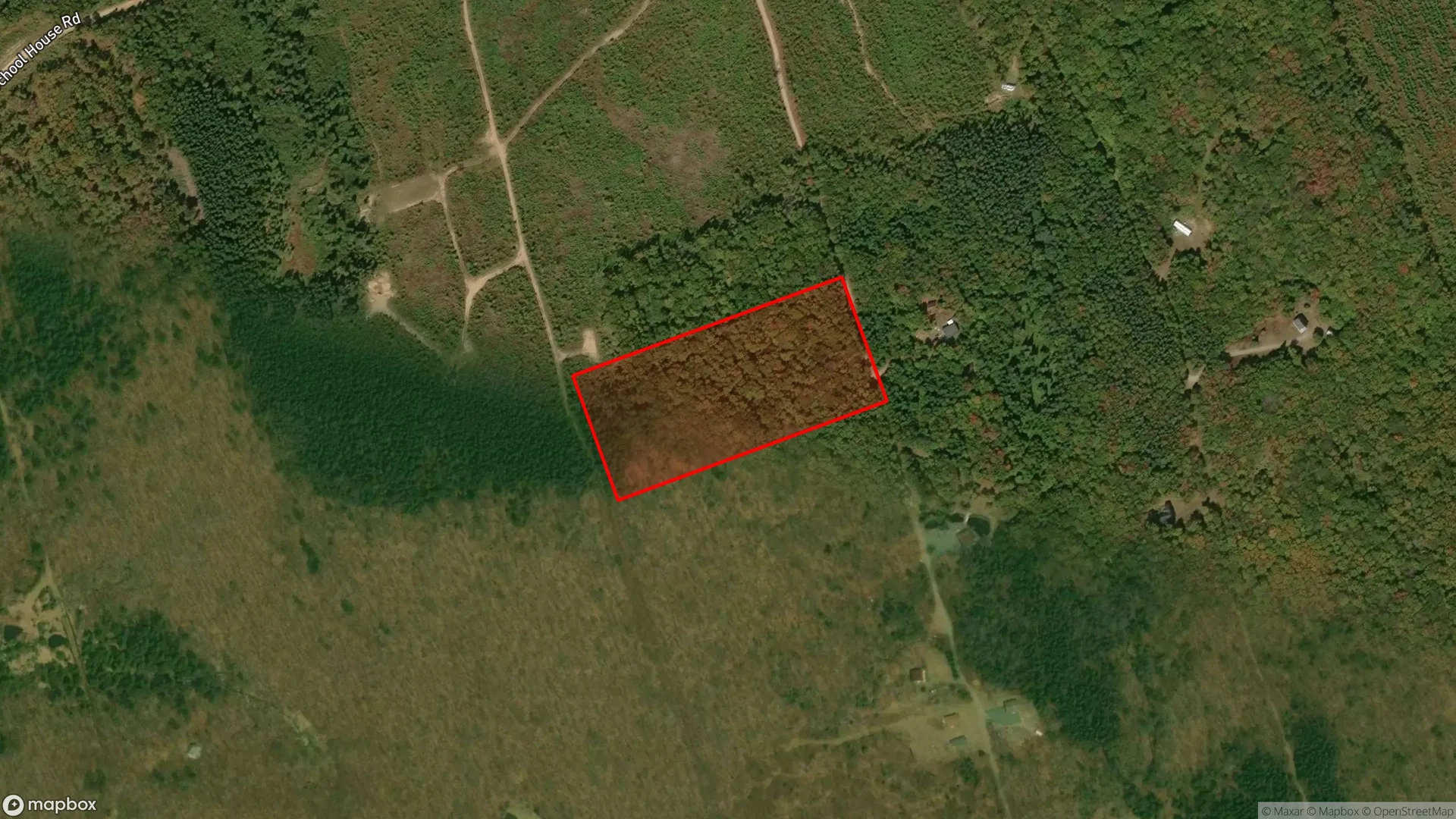 Tax sale property at , Moncton - Photo 3