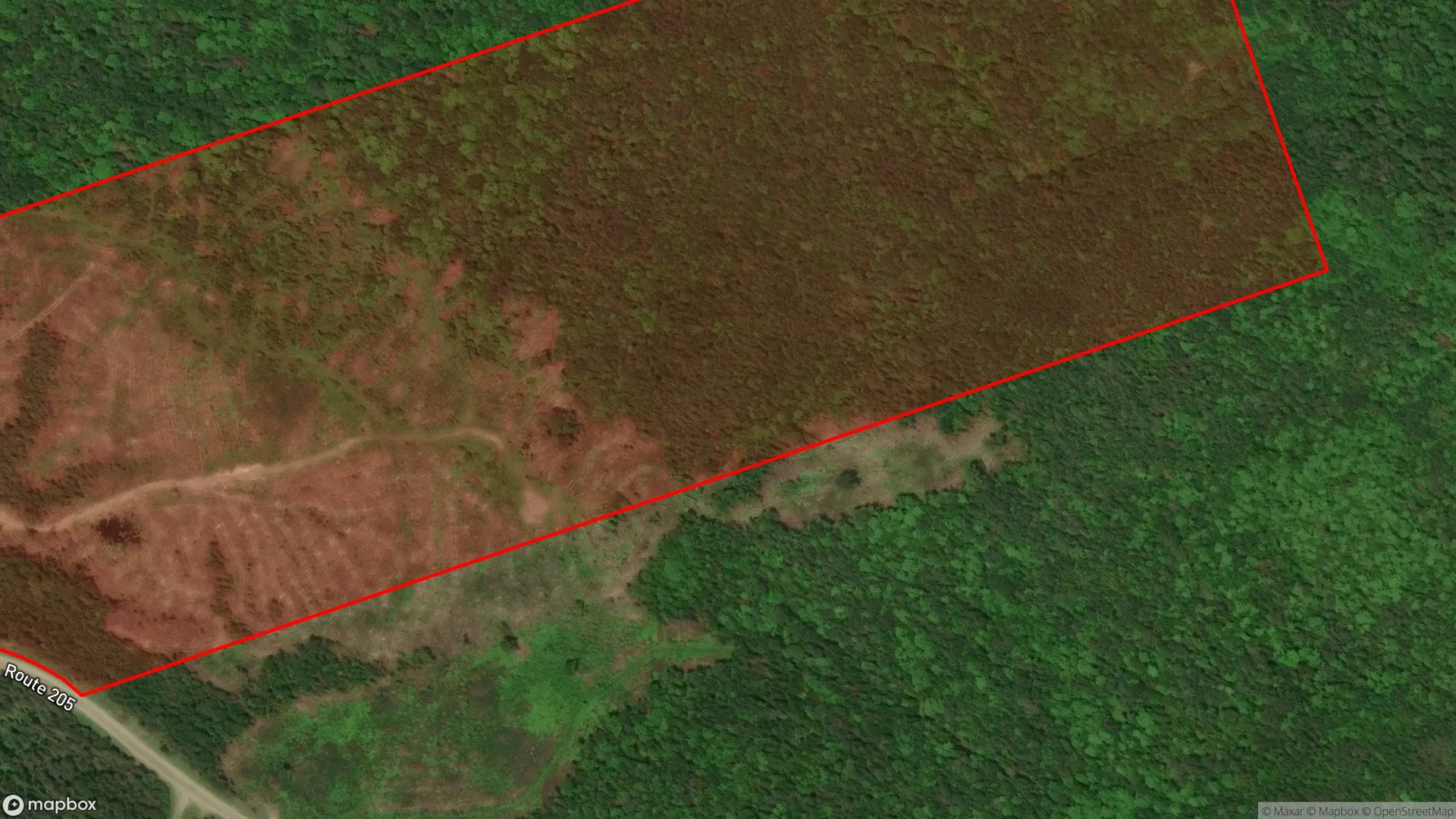 Tax sale property at , Madawaska - Photo 3