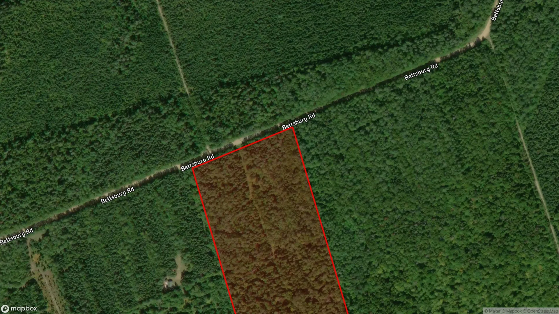Tax sale property at Bettsburg Road, New Bandon, NB  E9C 2C2, Bathurst - Photo 3