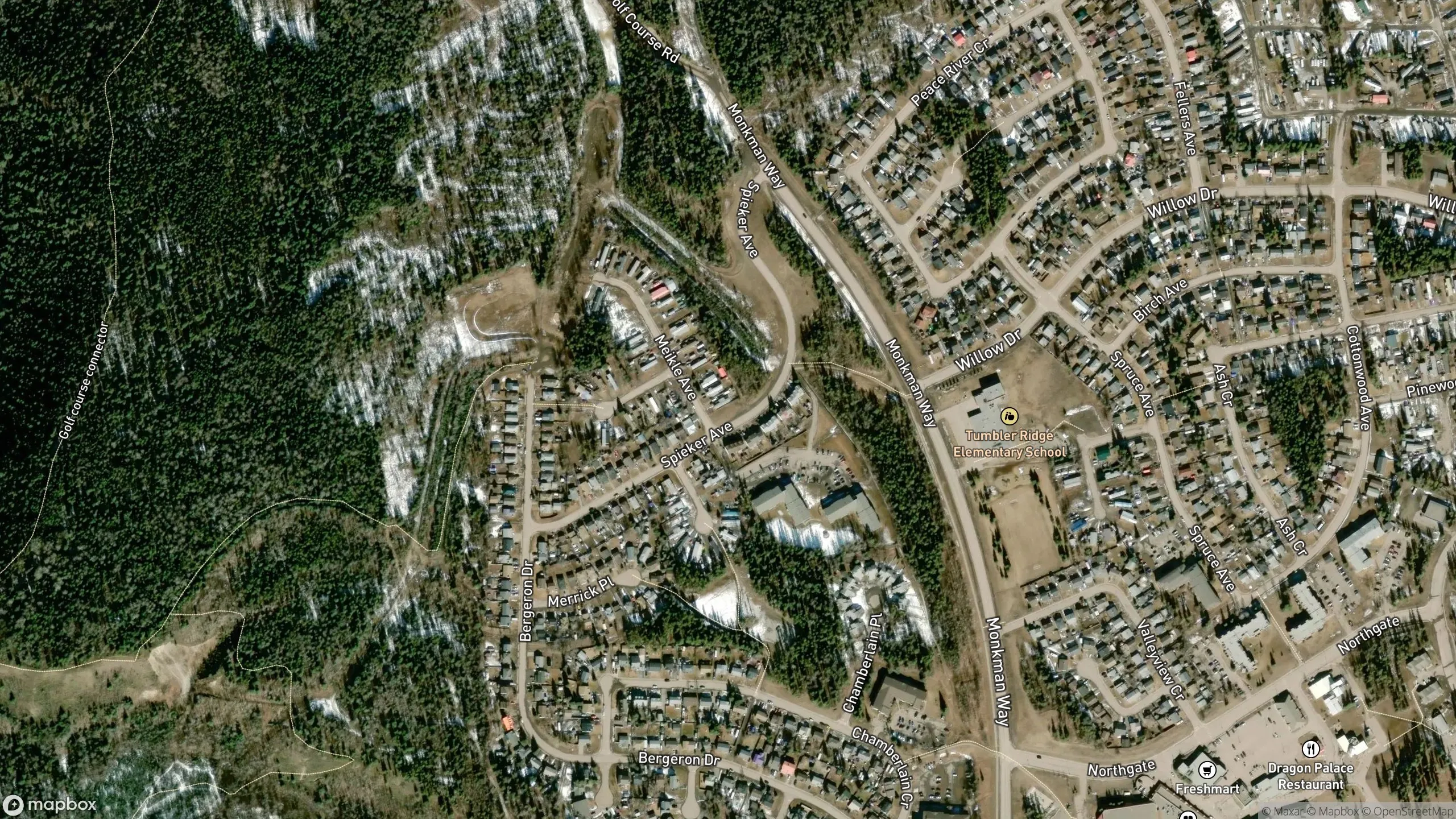 Tax Sale Property in Tumbler Ridge, British Columbia