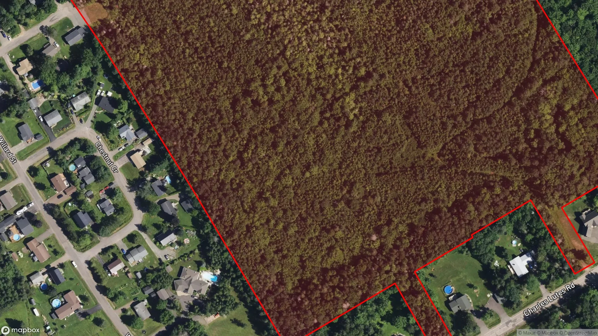 Tax sale property at , Moncton - Photo 2