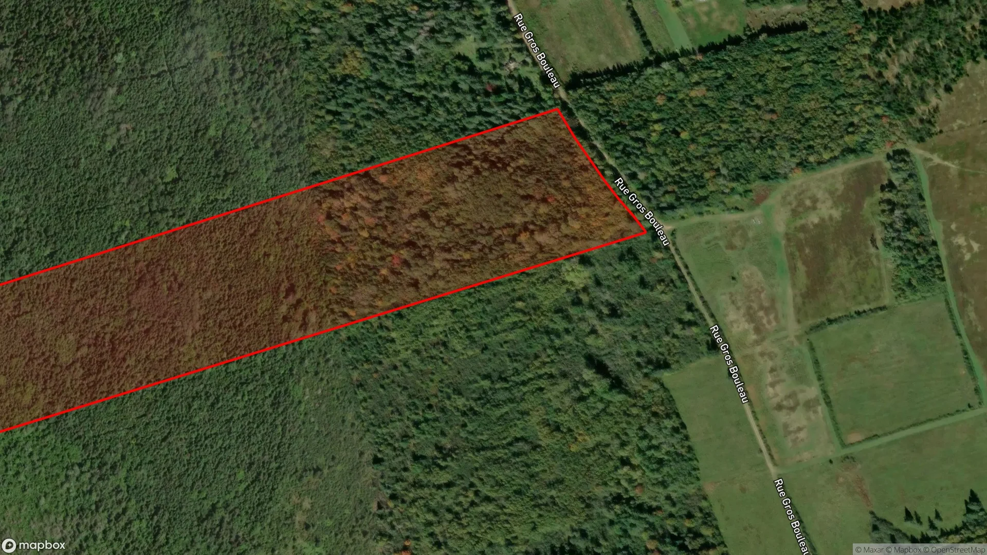 Tax sale property at Mill Cross Road, Moores Mills, NB  E5A 1Z4, Moncton - Photo 3