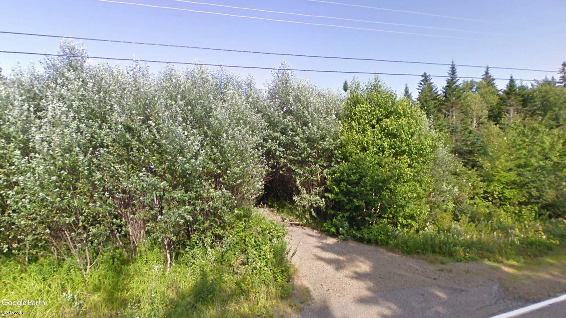 Tax sale property at 348 Highway 340, Richfield, Clare - Photo 4