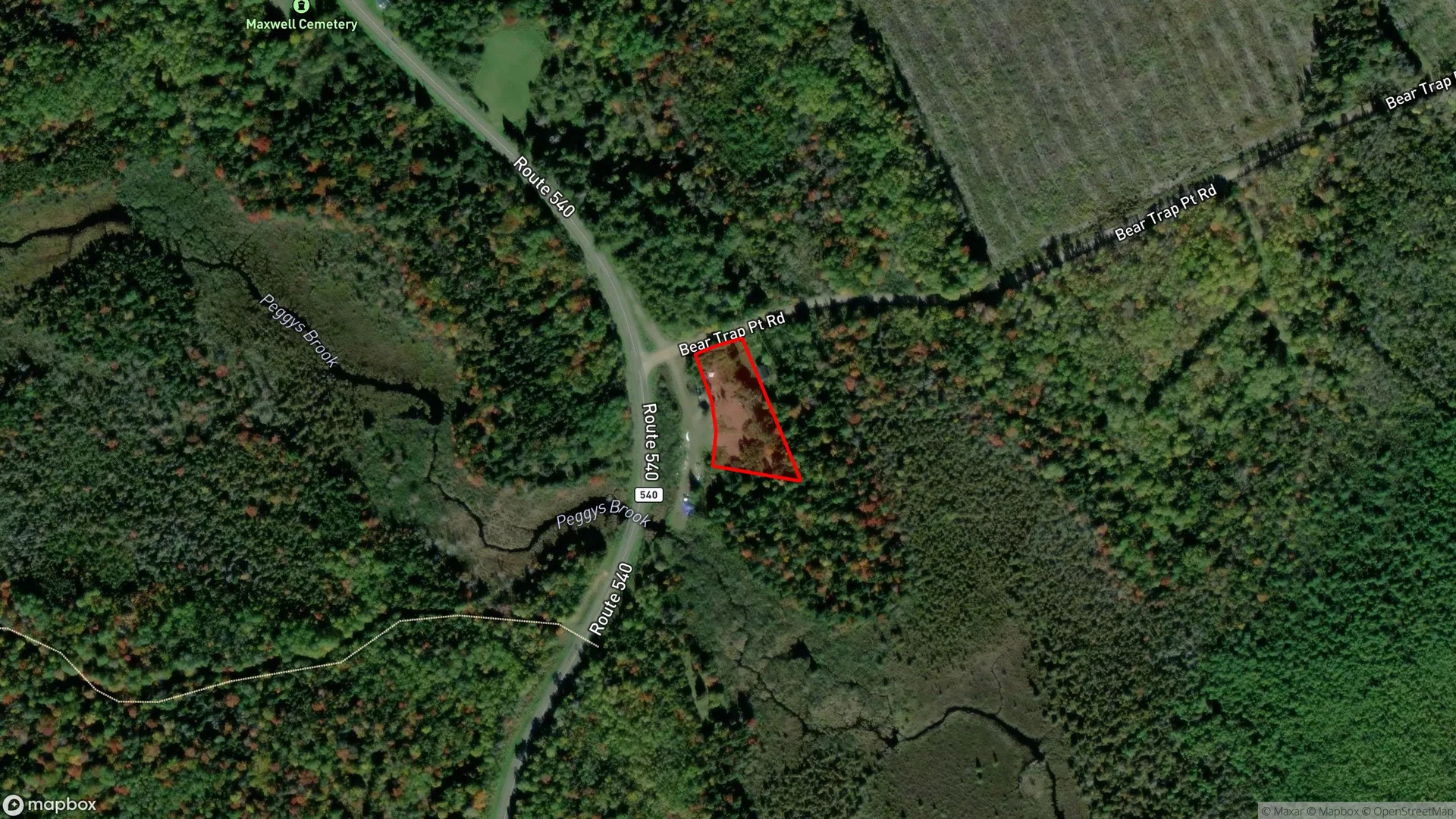 Tax sale property at Route 540, Maxwell, NB  E7N 3B5, York/Sunbury - Photo 3