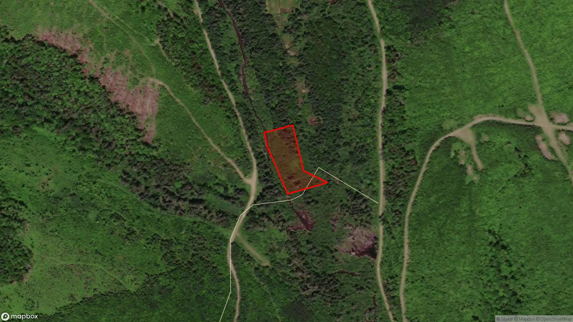 Tax sale property at , Carleton - Photo 3