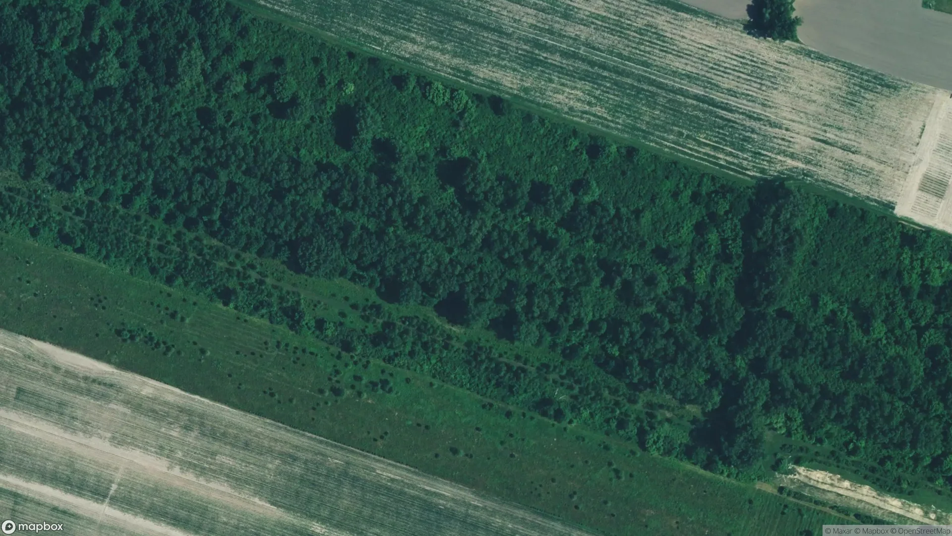 Tax Sale Property in Lasalle, Ontario