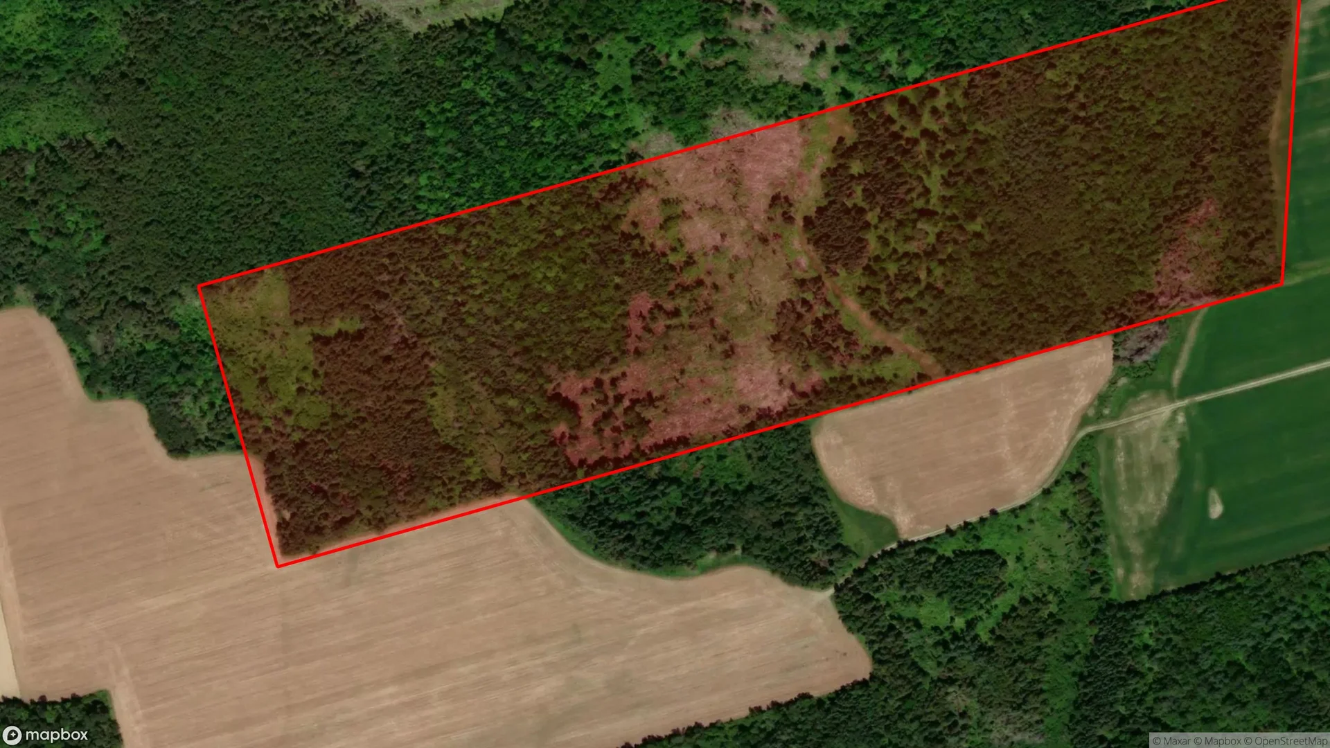 Tax sale property at , Carleton - Photo 3