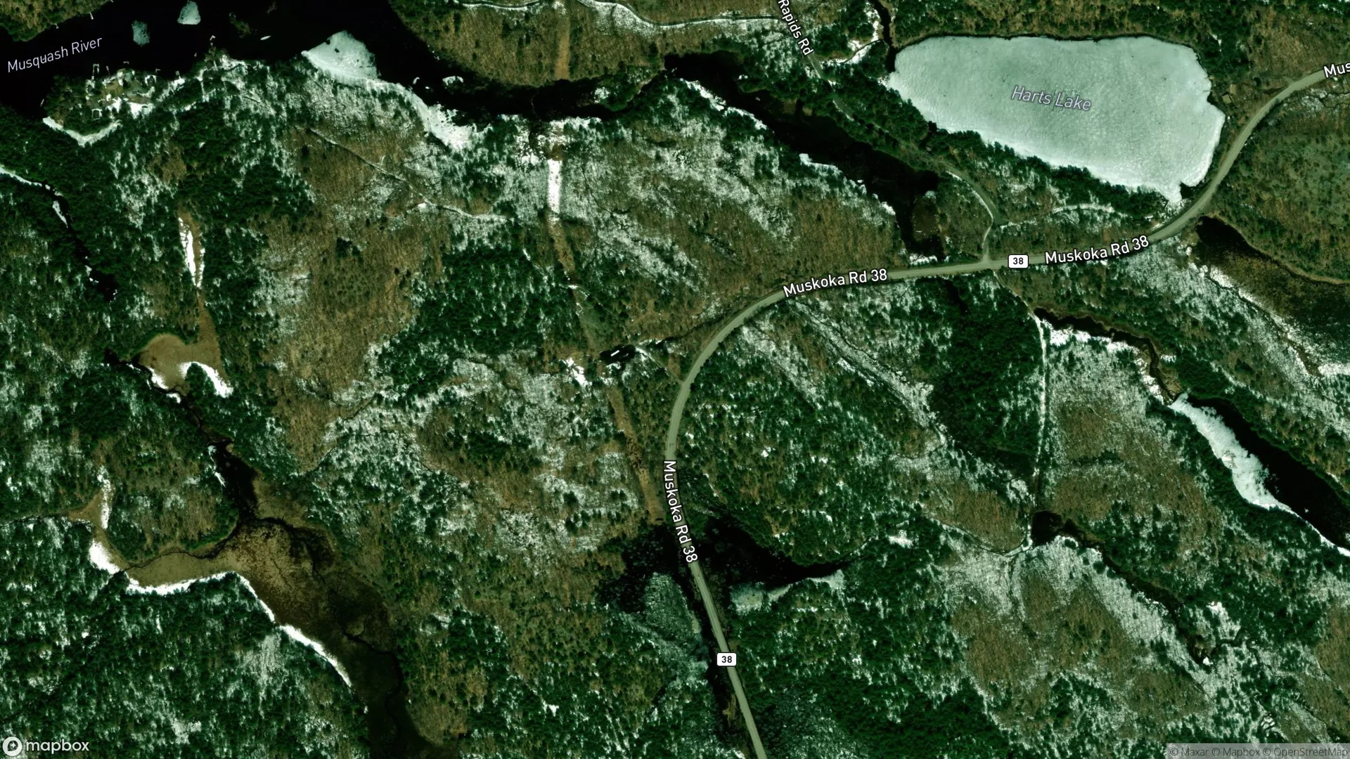  - Tax sale property in Muskoka Lakes