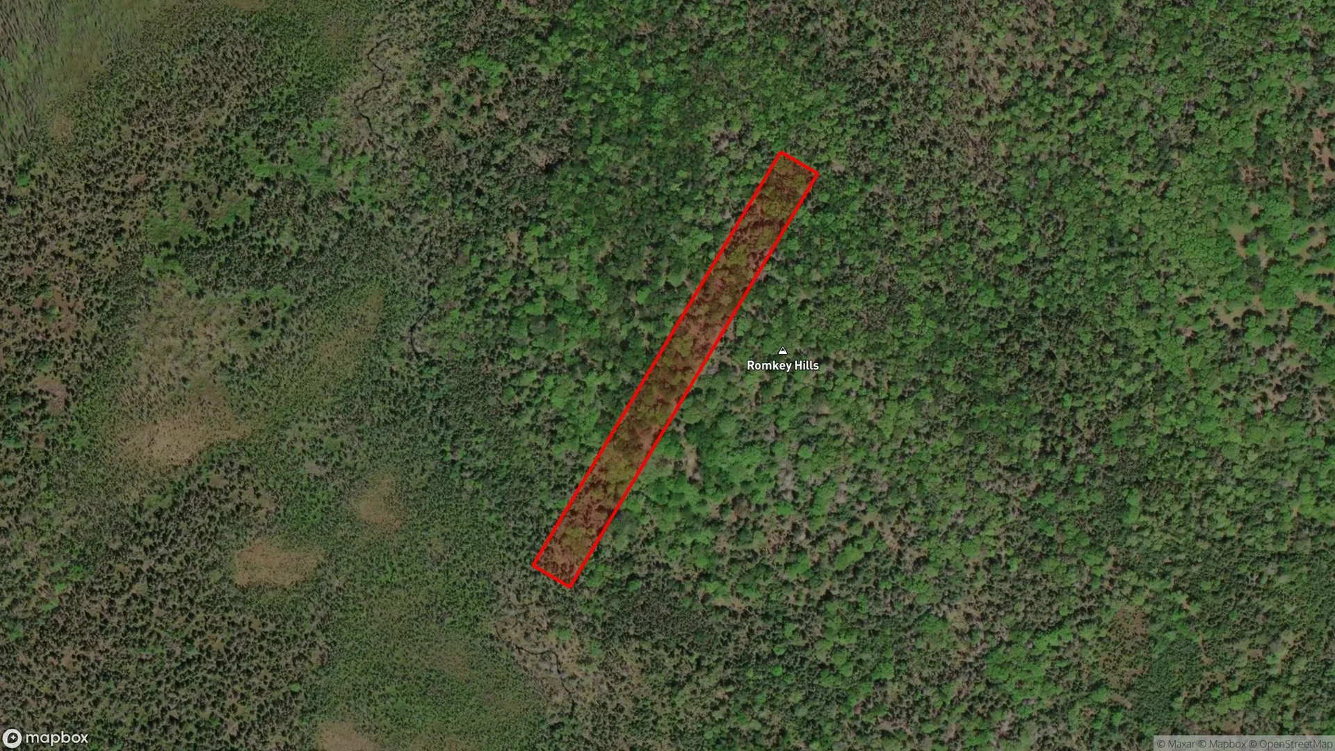 Tax sale property at , Lunenburg - Photo 3