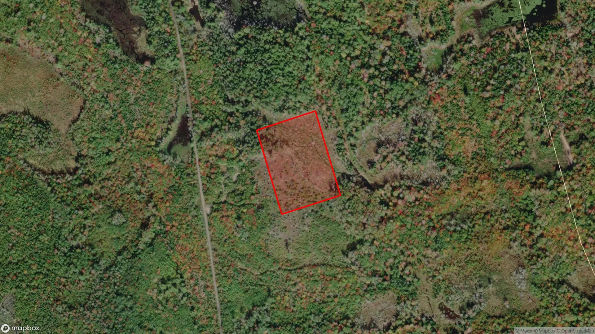 Tax sale property at Highway 307, Wallace Station, NS  B0K 1Y0, Cumberland - Photo 3