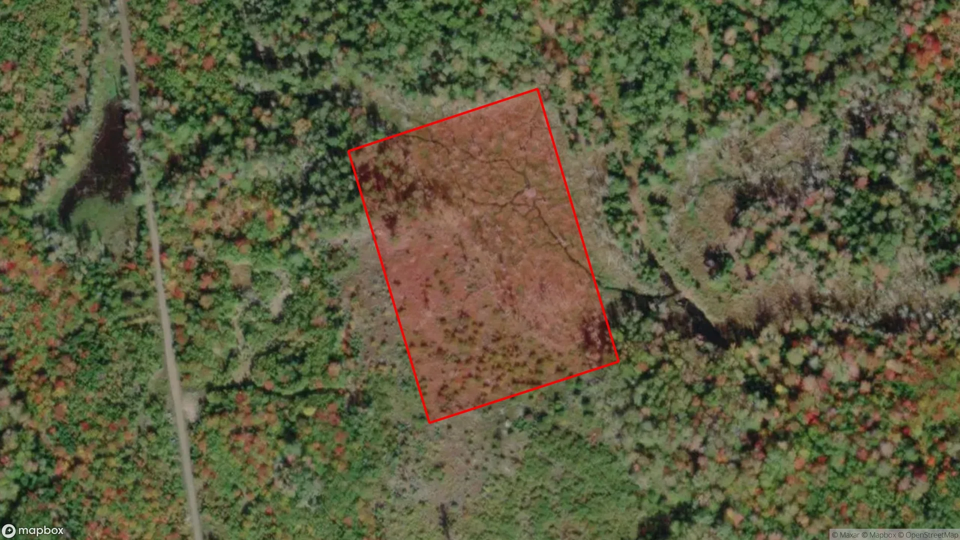 Tax sale property at Highway 307, Wallace Station, NS  B0K 1Y0, Cumberland - Photo 2
