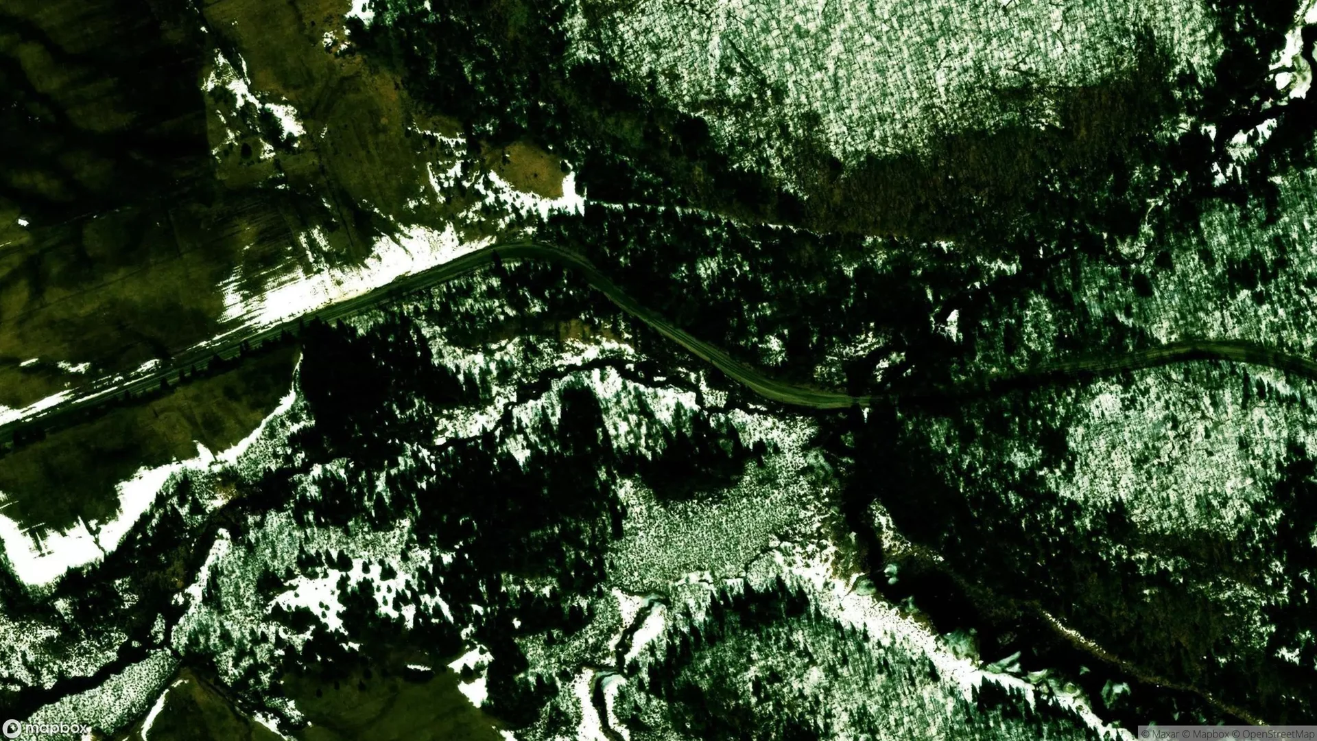 Tax Sale Property in Ryerson, Ontario