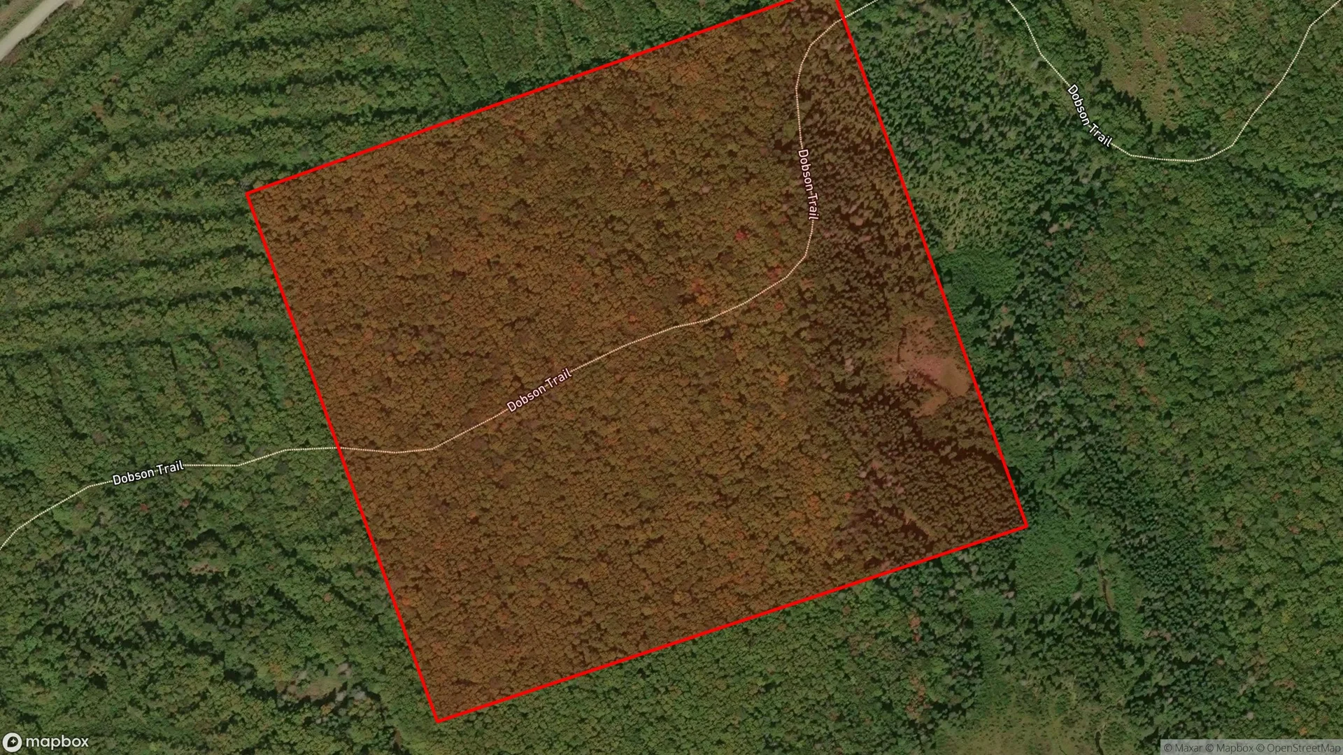 Tax sale property at , Albert Westmorland - Photo 3