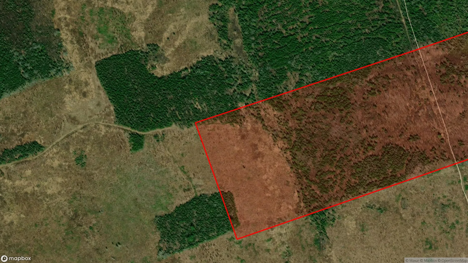 Tax sale property at , Fredericton - Photo 3