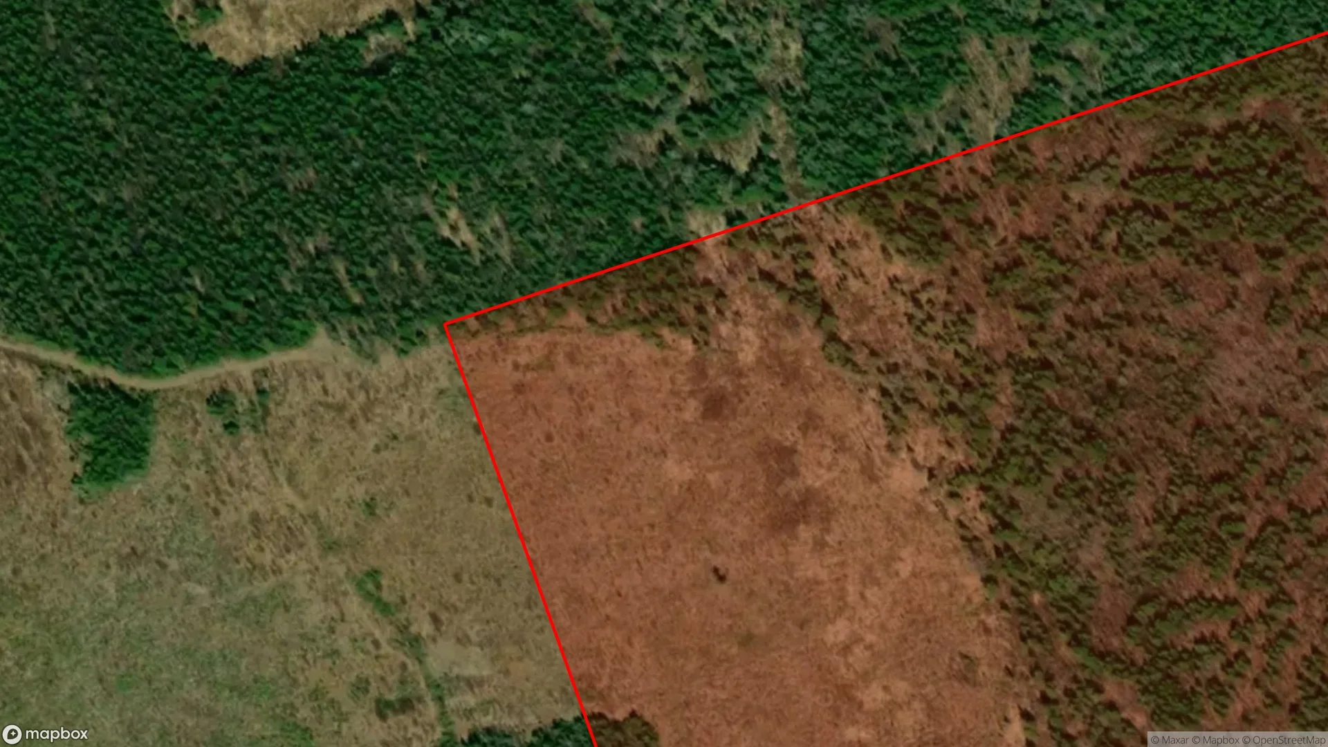 Tax sale property at , Fredericton - Photo 2